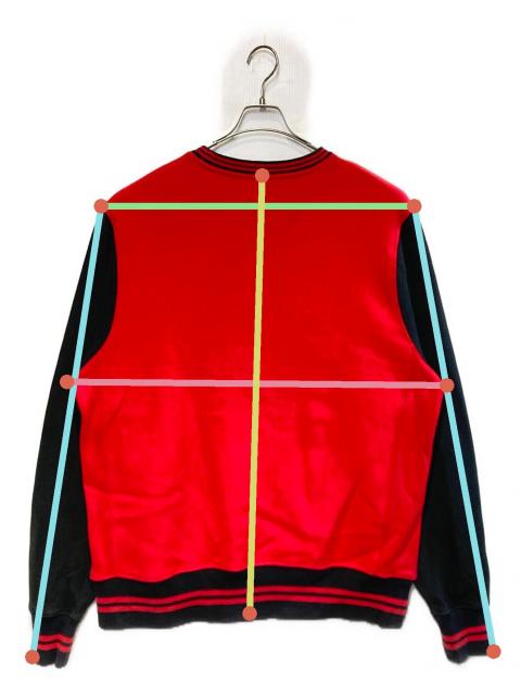 中古・古着通販】Champion (チャンピオン) ［古着］バイカラー