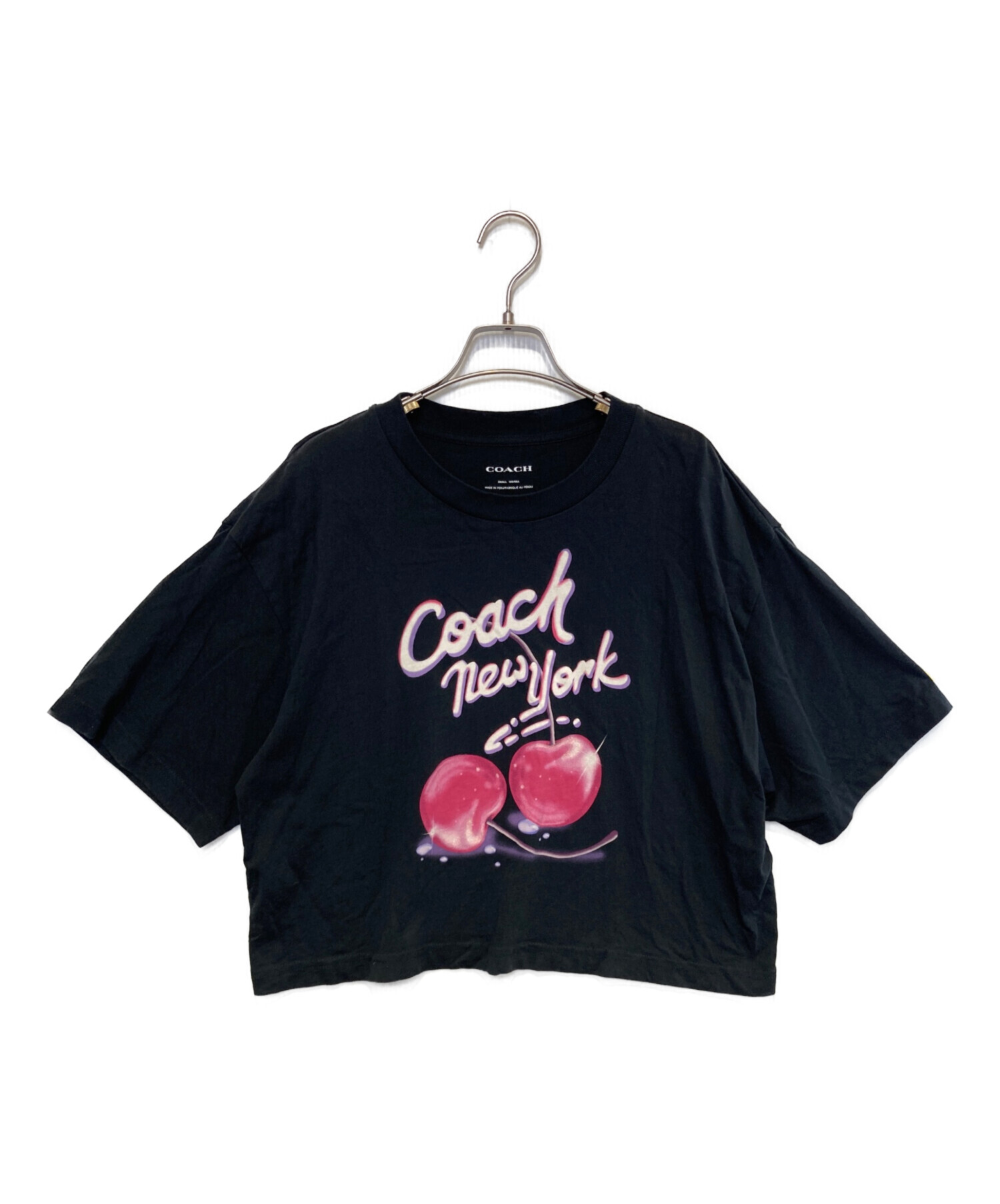中古・古着通販】COACH (コーチ) エアーブラッシュド チェリー
