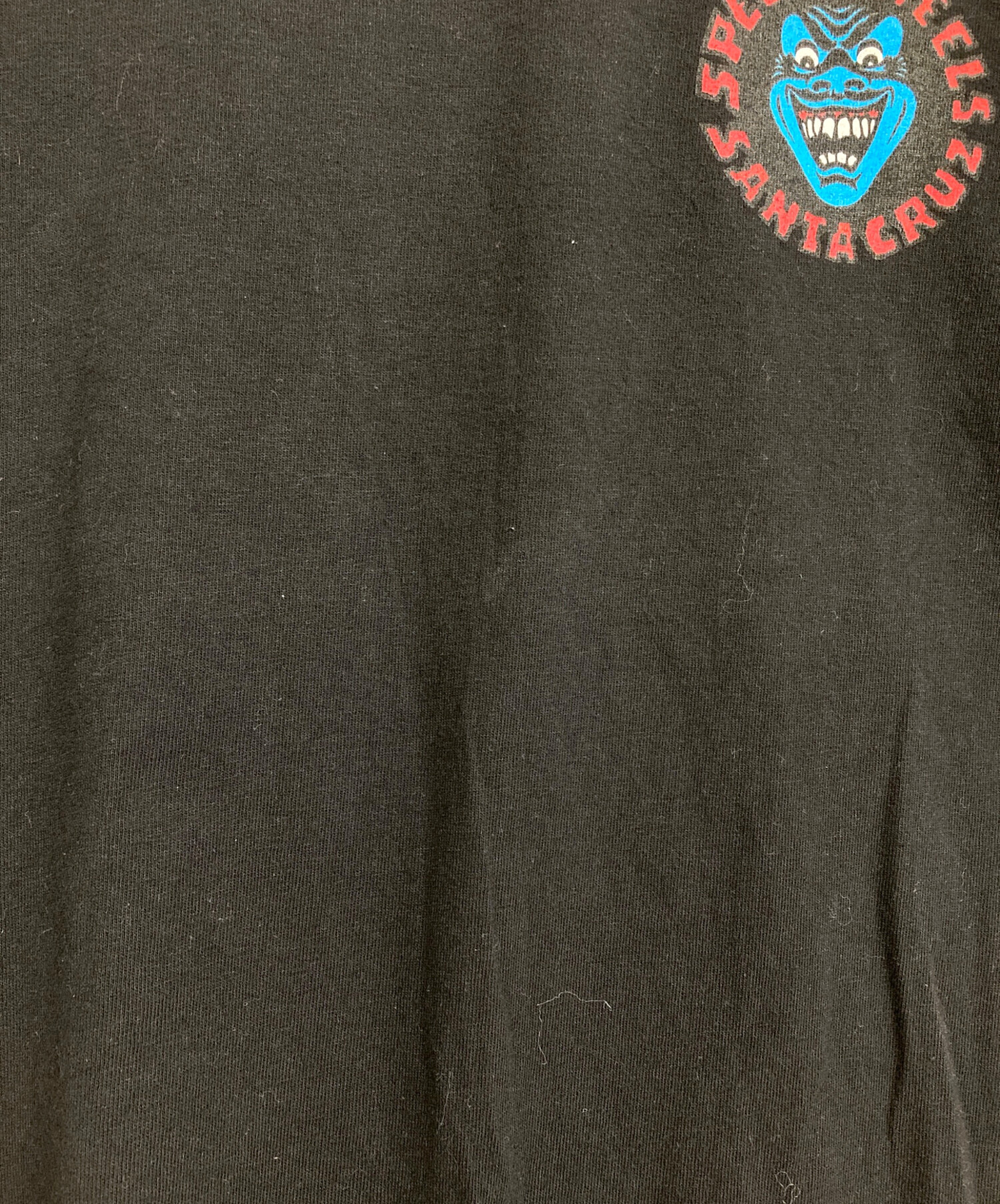 中古・古着通販】NHS (エヌエイチエス) SANTA CRUZ (サンタクルーズ