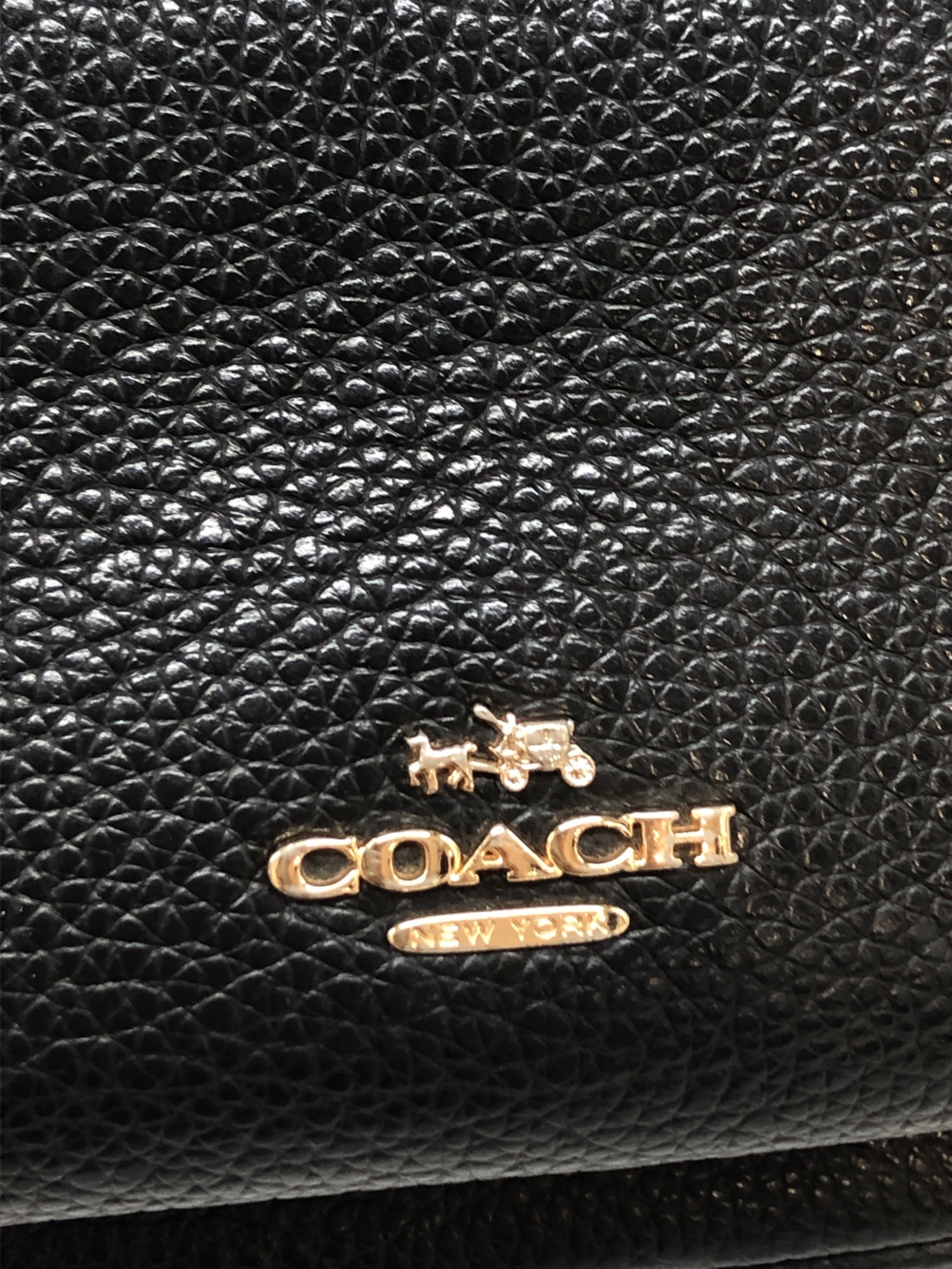 中古・古着通販】COACH (コーチ) チャーリー ペブルドレザー ミニ