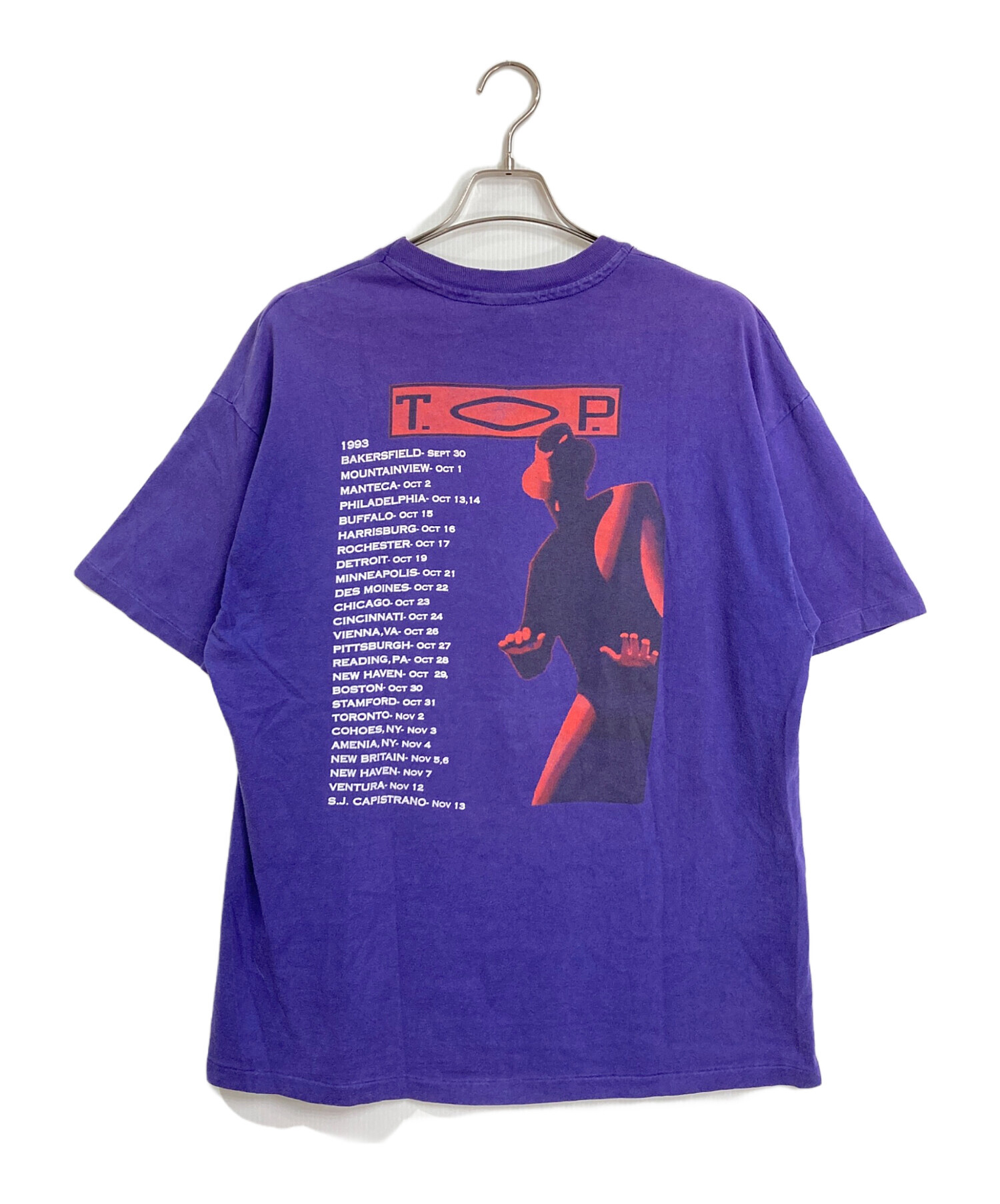 80s Hanes THE NORTH FACE Tシャツ　コピーライト　激レア 中古・古着通販】Hanes (ヘインズ) 【古着】 ヴィンテージTシャツ