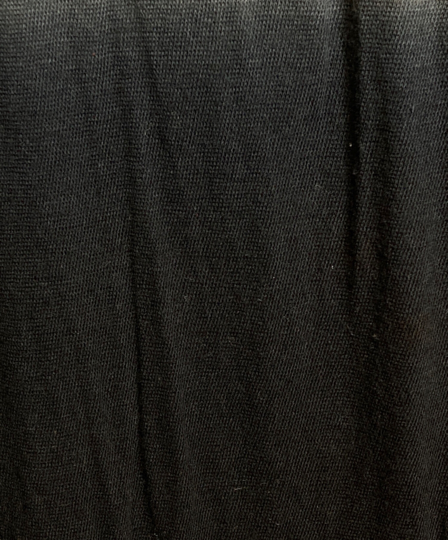 中古・古着通販】ANN DEMEULEMEESTER (アンドゥムルメステール 