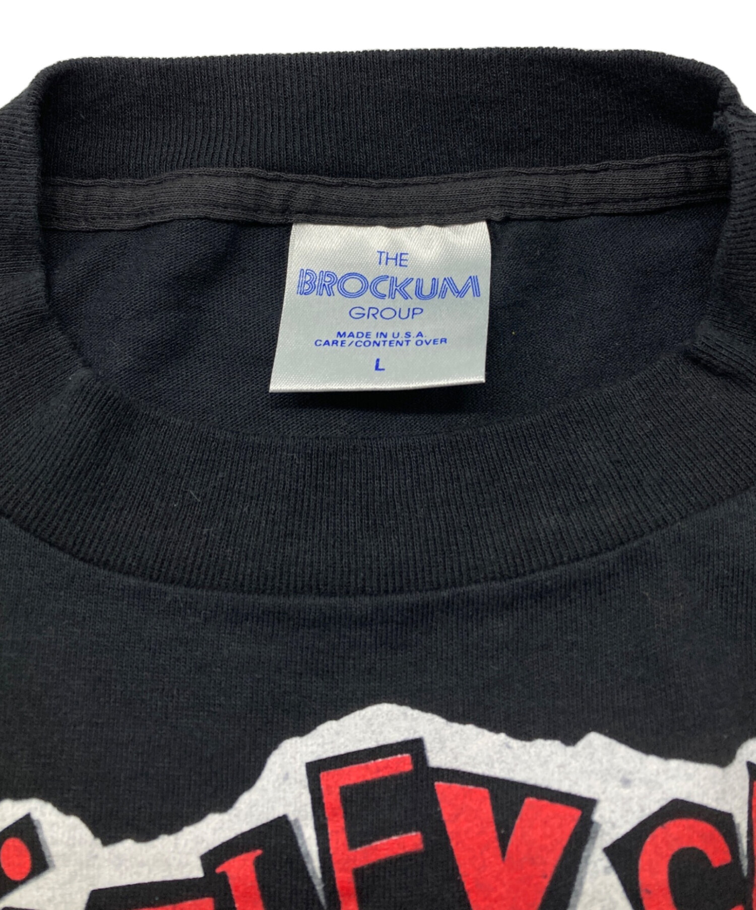 中古・古着通販】BROCKUM (ブロッカム) 90's USA製バンドTシャツ