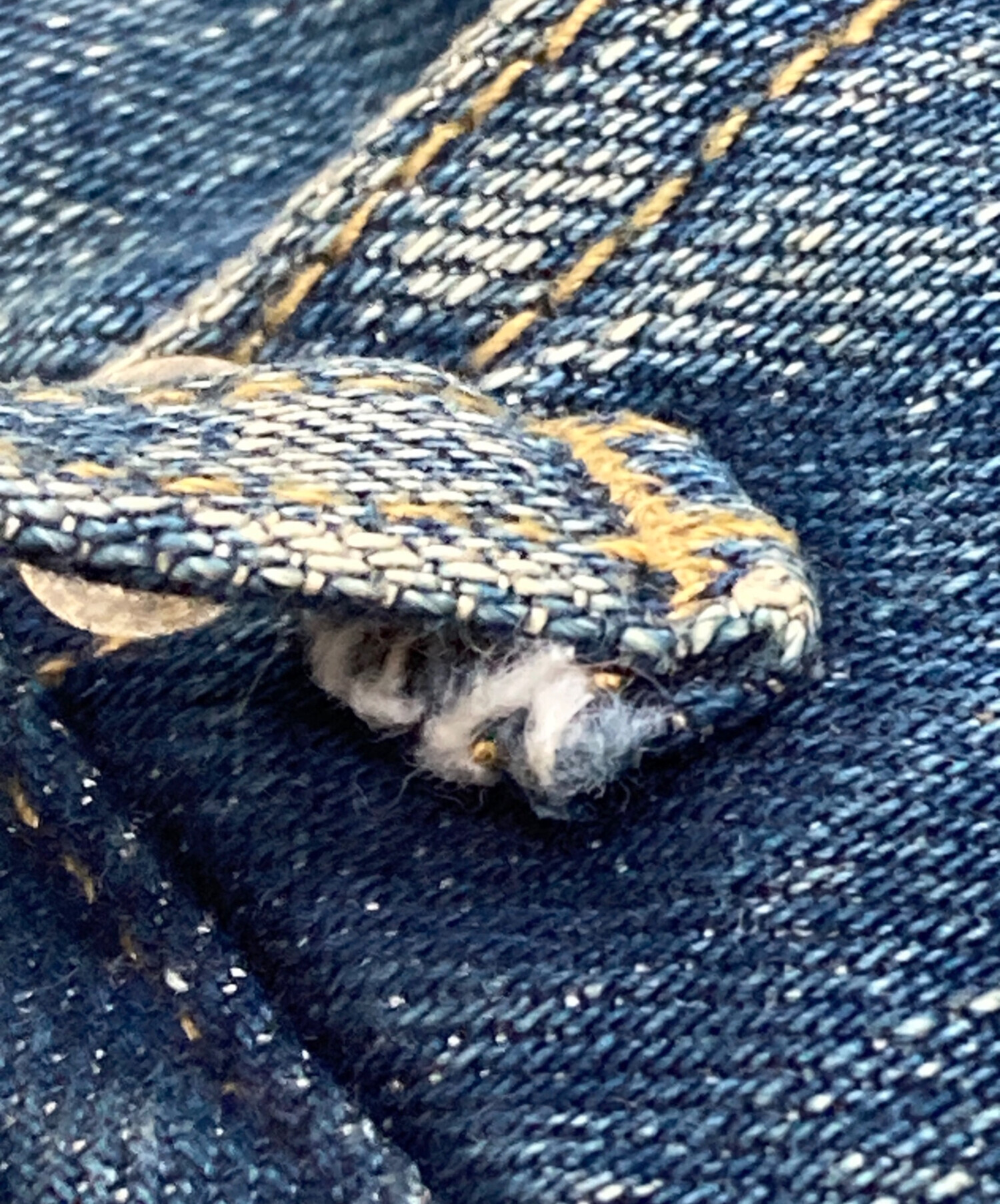 中古・古着通販】Saint Laurent Paris (サンローランパリ) スキニー