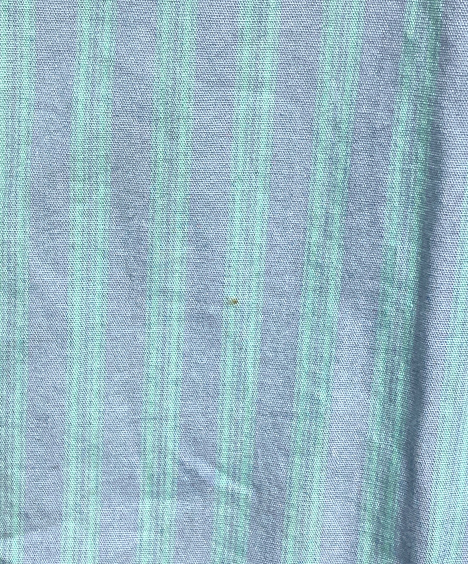 中古・古着通販】TEKLA (テクラ) AURALEE (オーラリー) COTTON POPLIN