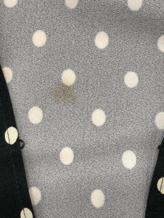 中古・古着通販】RED VALENTINO (レッドヴァレンティノ) ドット