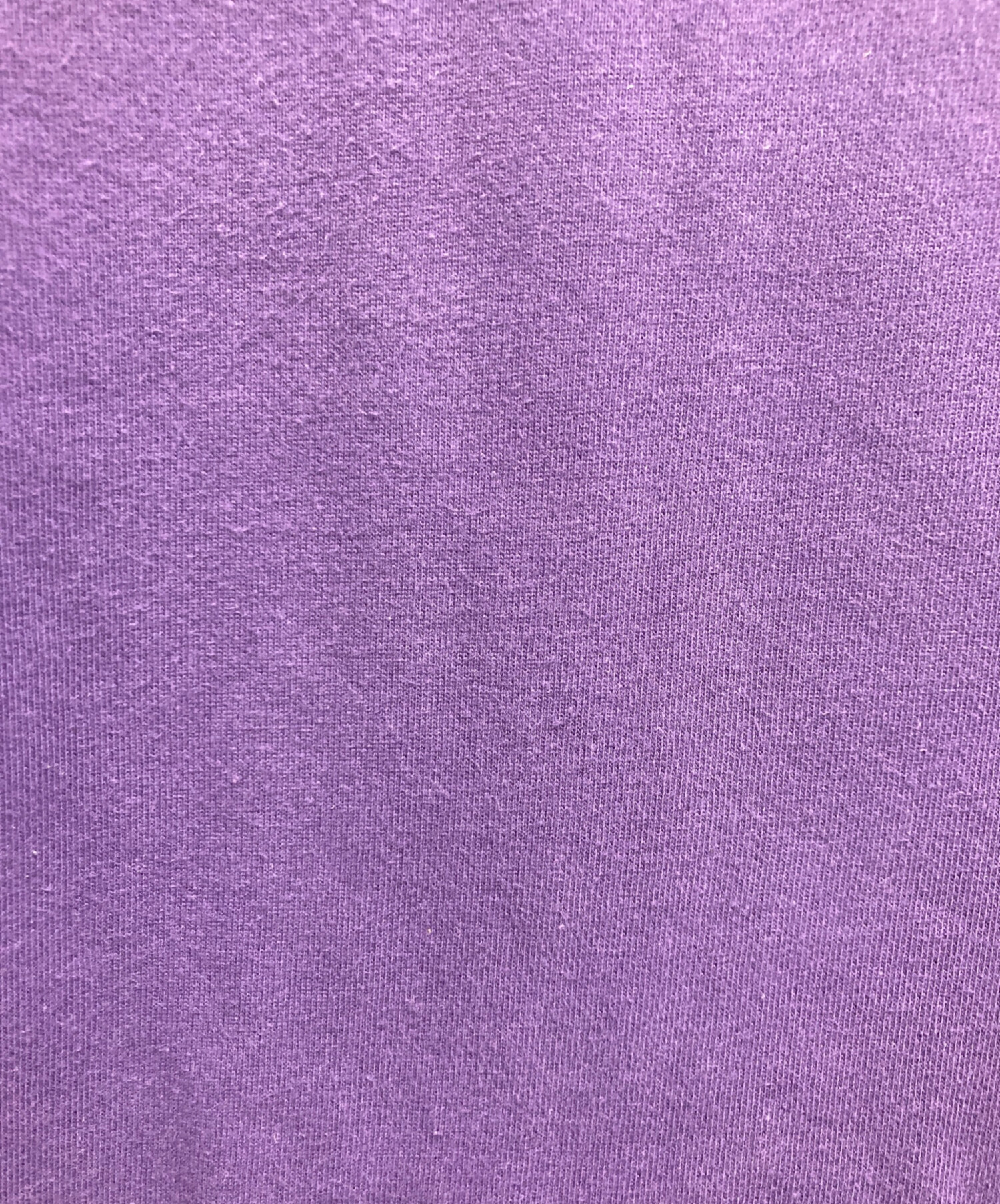 中古・古着通販】stussy (ステューシー) ロゴスウェット パープル