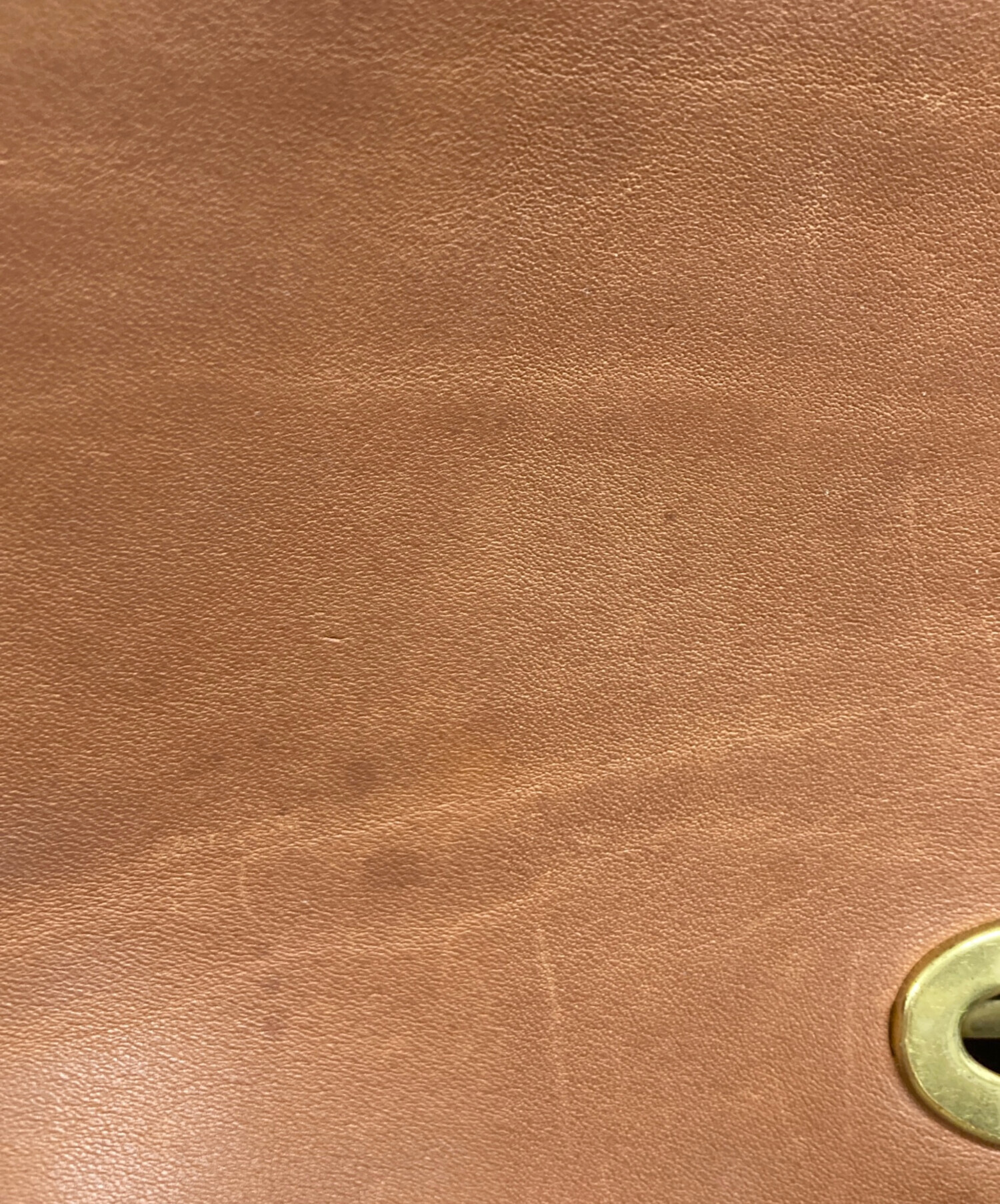 中古・古着通販】COACH (コーチ) 2wayターンロックミニショルダー