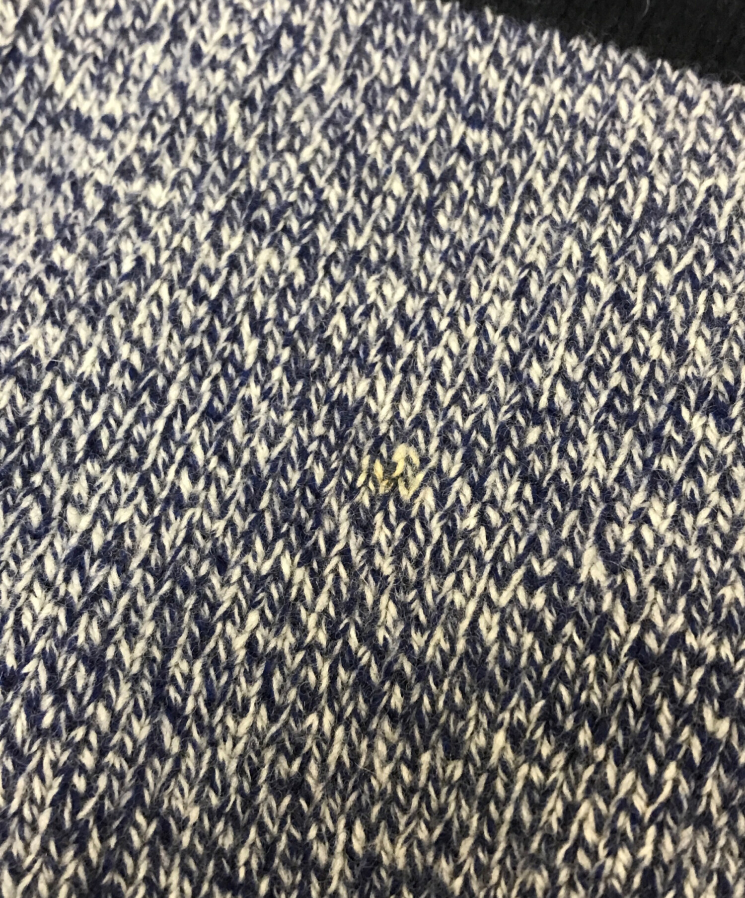 中古・古着通販】ZARA (ザラ) STUDIO NICHOLSON (スタジオ ニコルソン