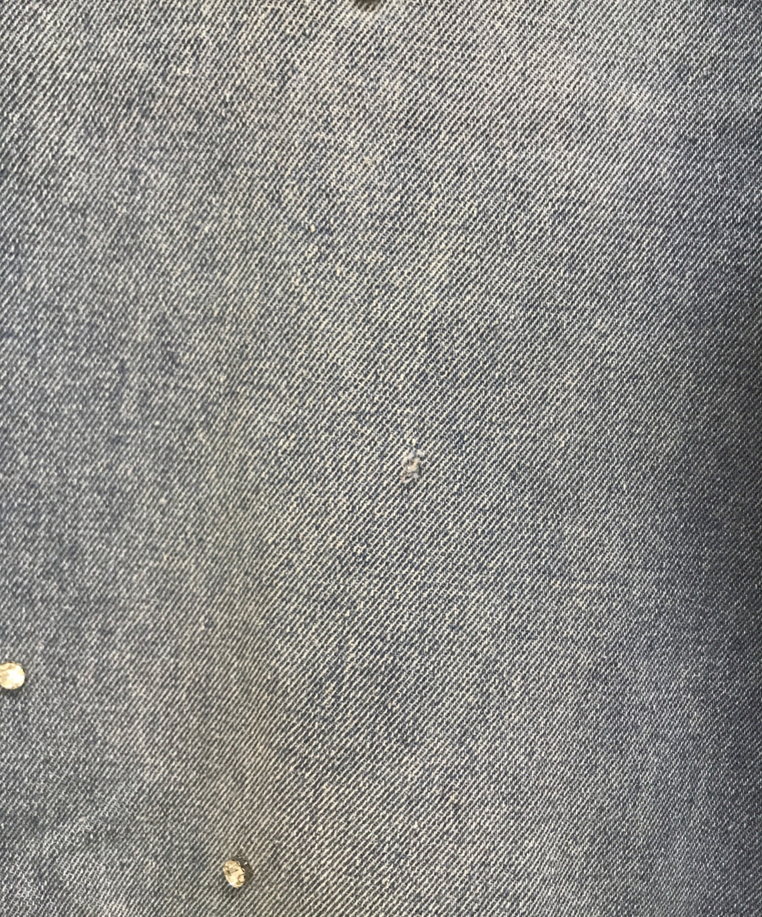 中古・古着通販】CADUNE (カデュネ) ビジュー付デニムパンツ