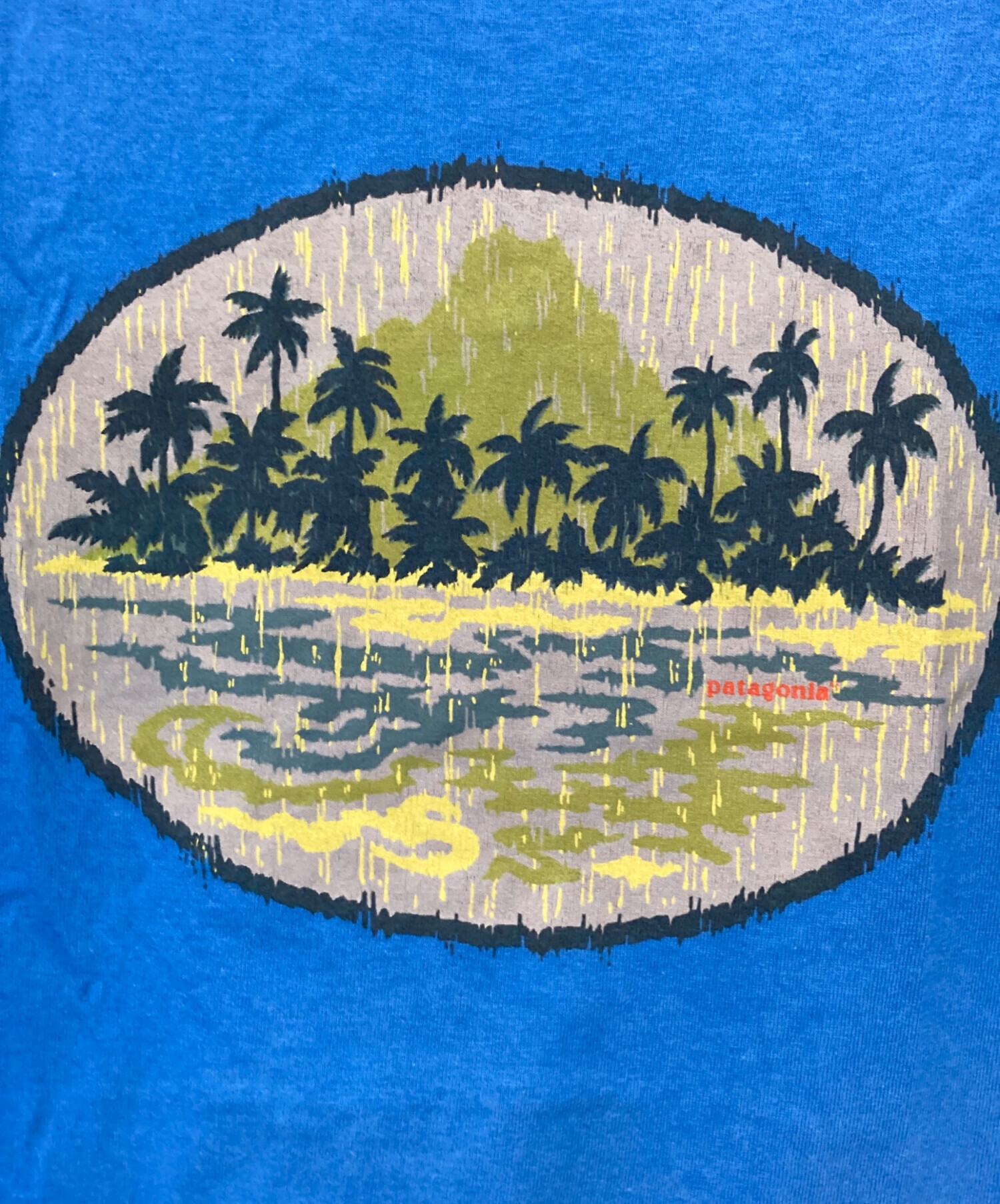 中古・古着通販】Patagonia (パタゴニア) バックプリントTシャツ