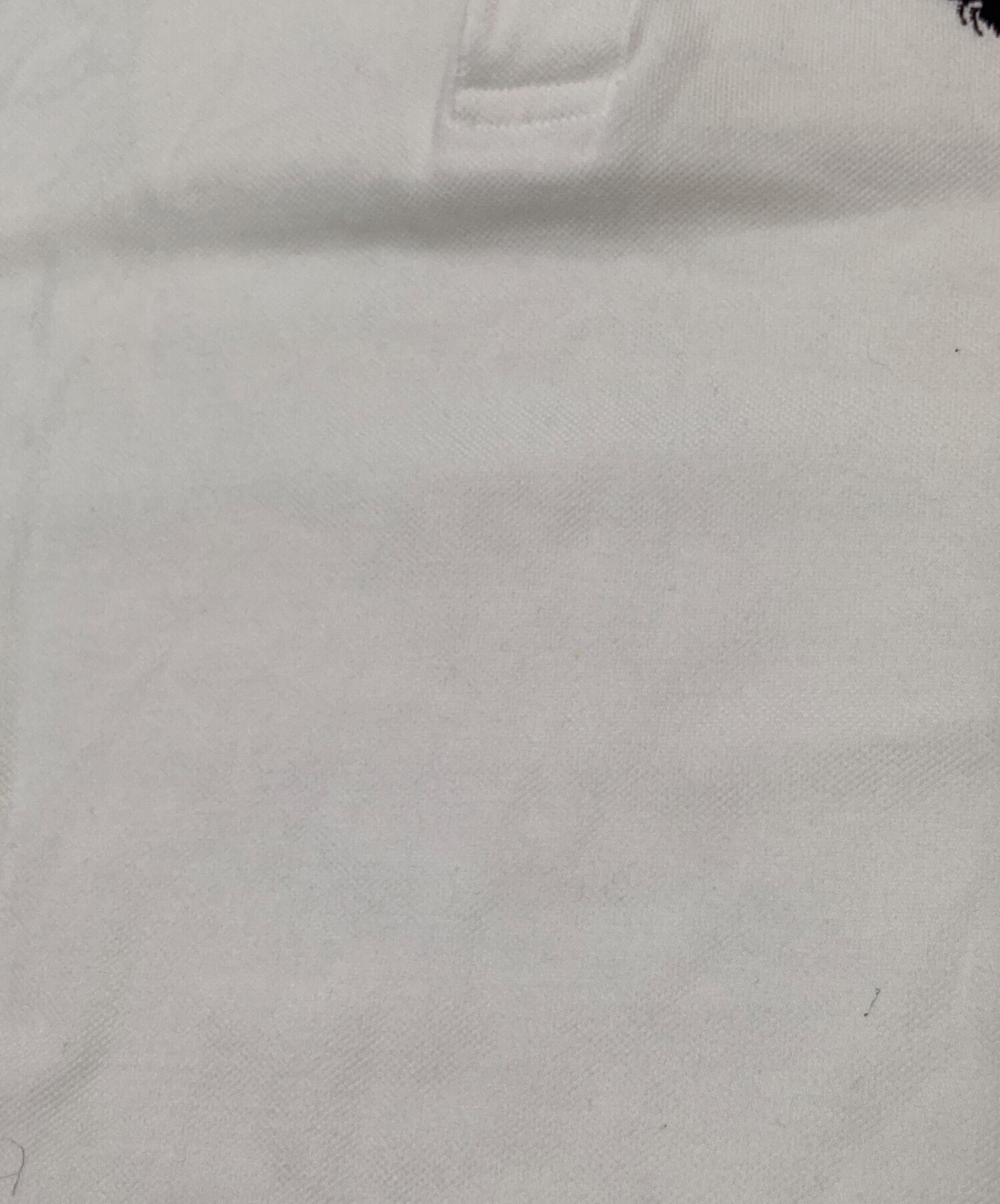 中古・古着通販】Dior (ディオール) BEE刺繍ポロシャツ ホワイト
