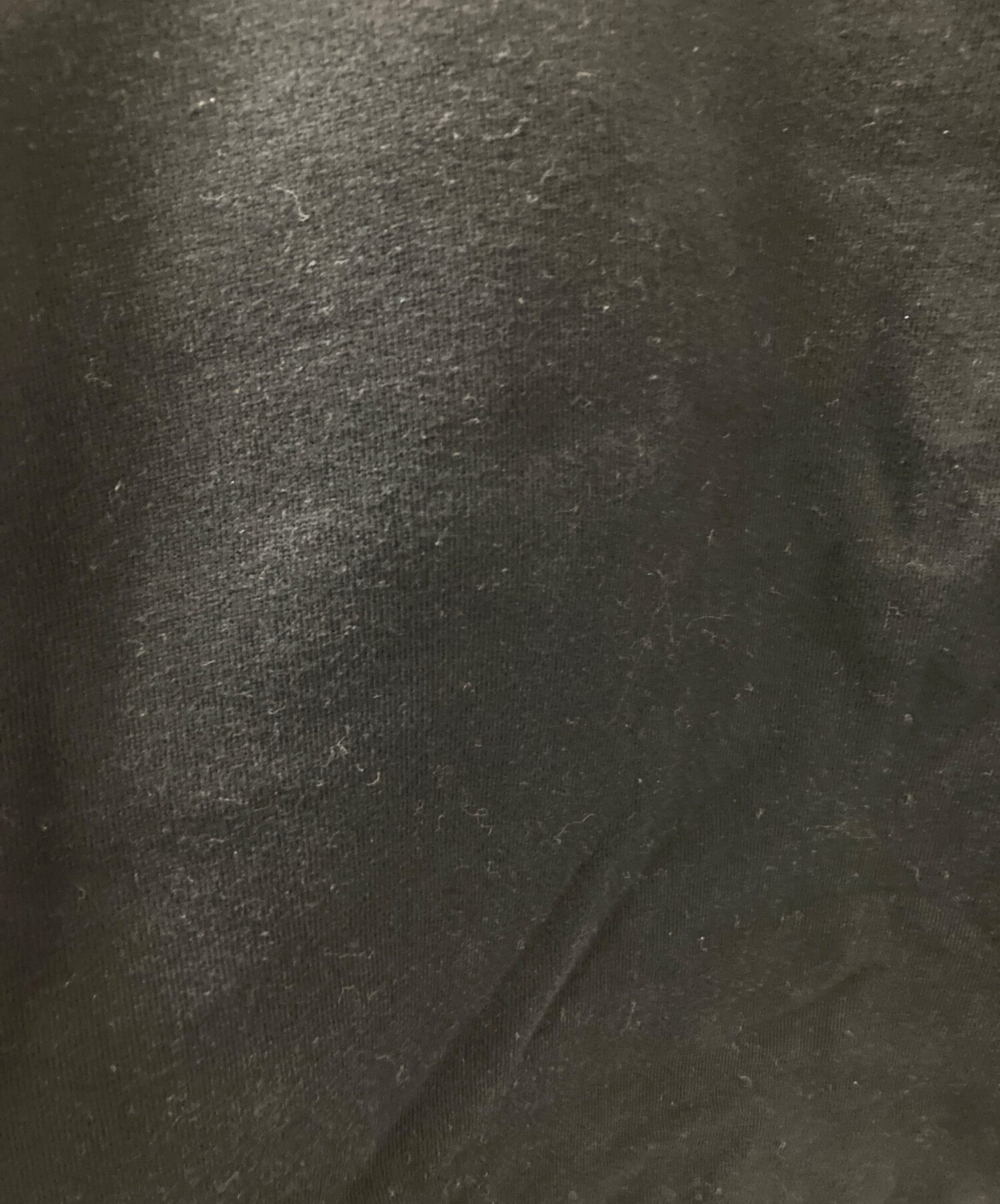 中古・古着通販】stussy (ステューシー) クラウンバックプリント 