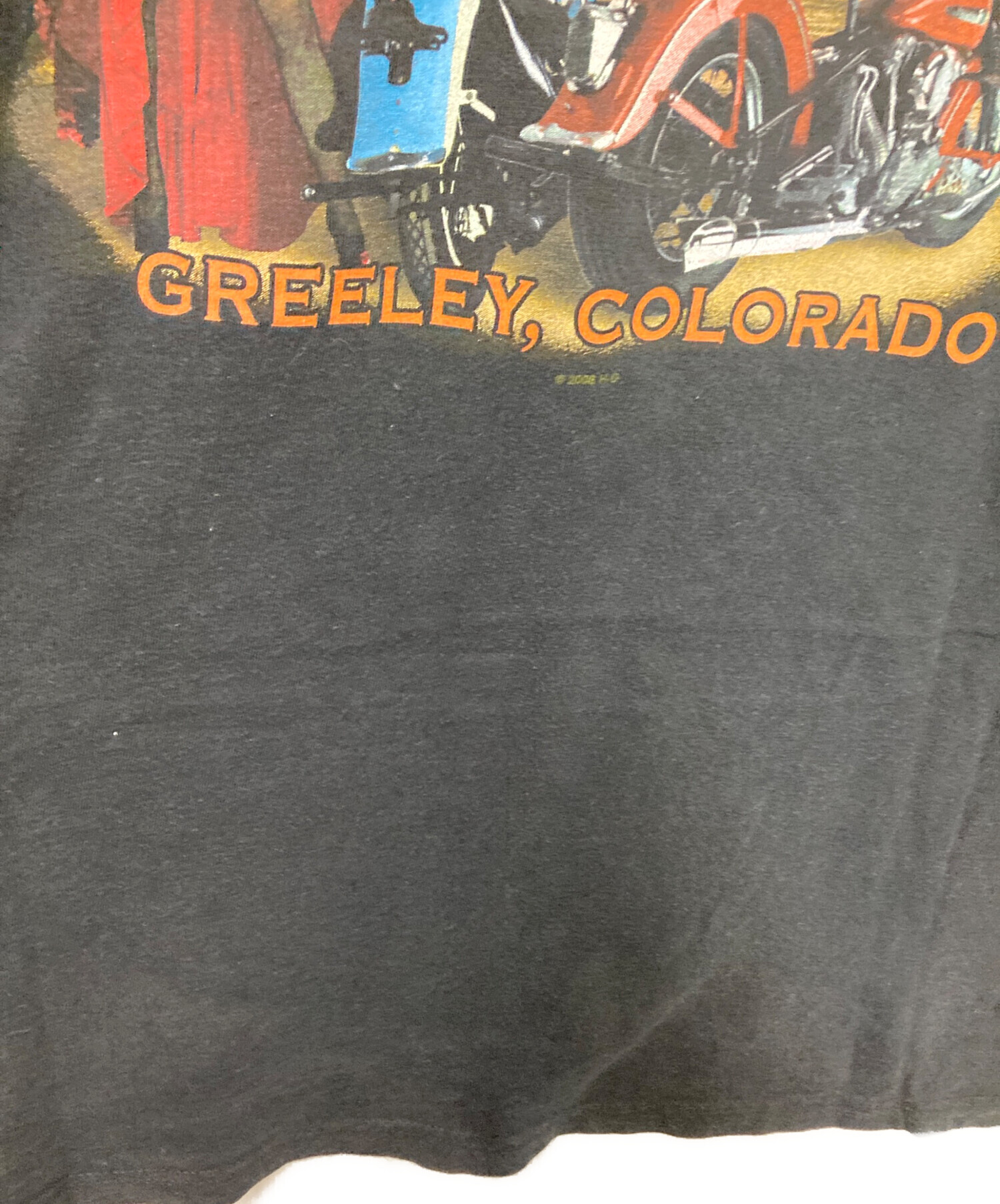 中古・古着通販】HARLEY-DAVIDSON (ハーレーダビッドソン) ブルー