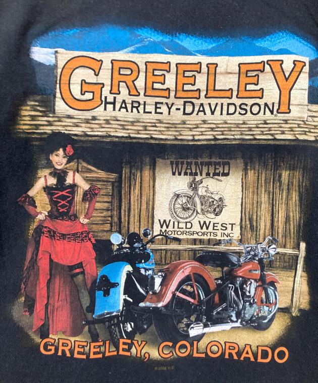 中古・古着通販】HARLEY-DAVIDSON (ハーレーダビッドソン) ブルー