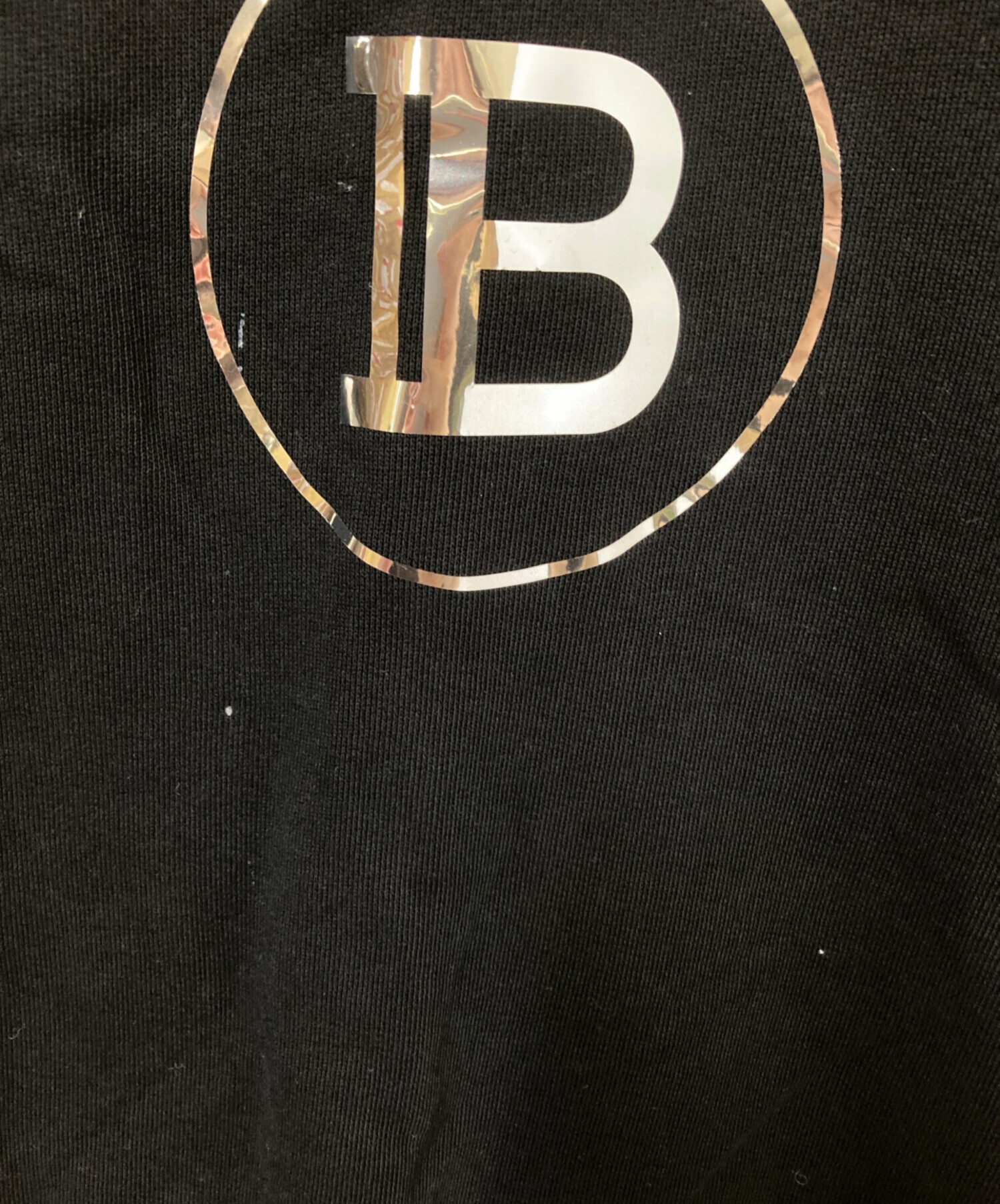 中古・古着通販】BALMAIN (バルマン) Metallic Flock Logo Sweatshirt