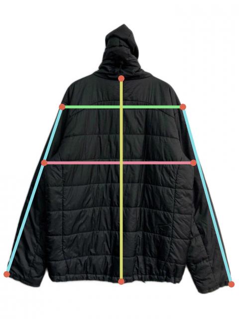 中古・古着通販】Patagonia (パタゴニア) Micro Puff Hooded Jacket