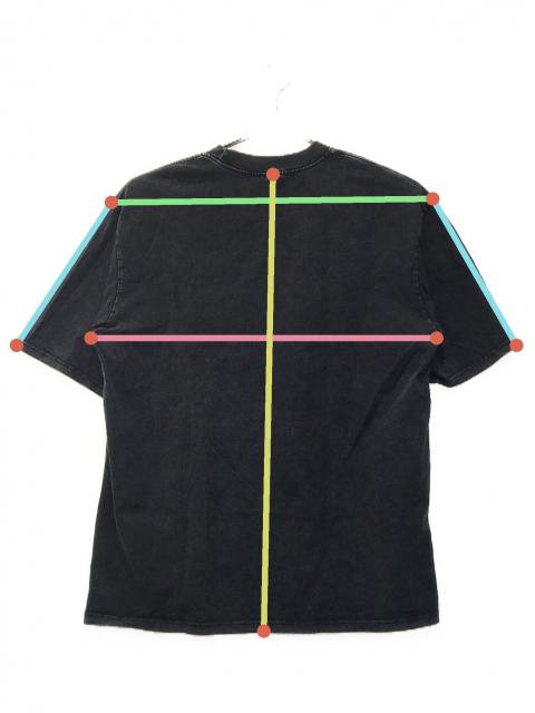 中古・古着通販】LIANGXILIN (リアンキリン) プリントTシャツ グレー