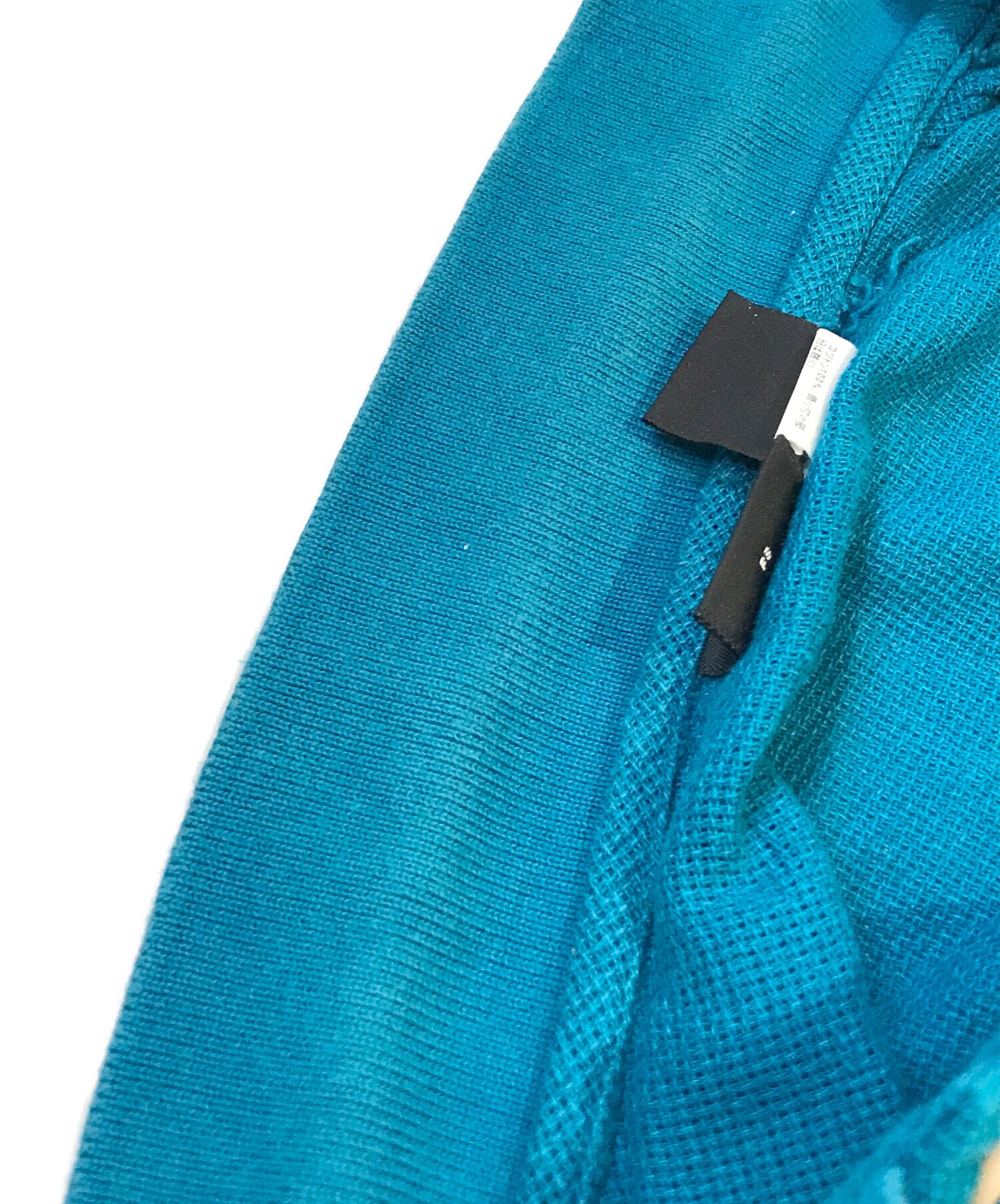 中古・古着通販】Patagonia (パタゴニア) 鹿の子ポロシャツ 53611
