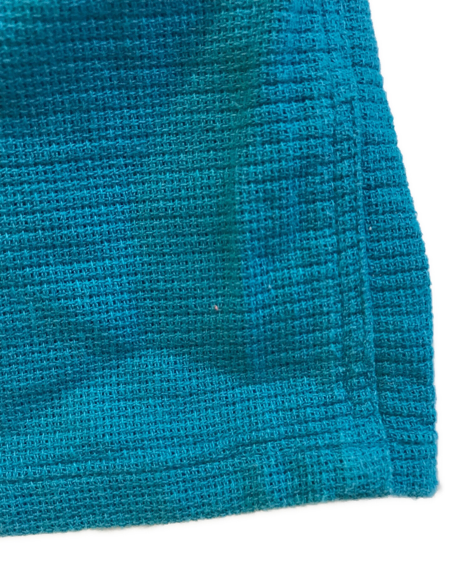 中古・古着通販】Patagonia (パタゴニア) 鹿の子ポロシャツ 53611