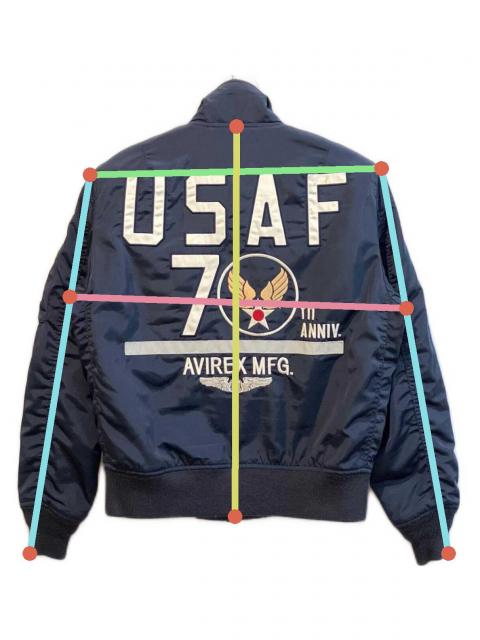 中古・古着通販】AVIREX (アヴィレックス) アメリカ空軍70周年記念