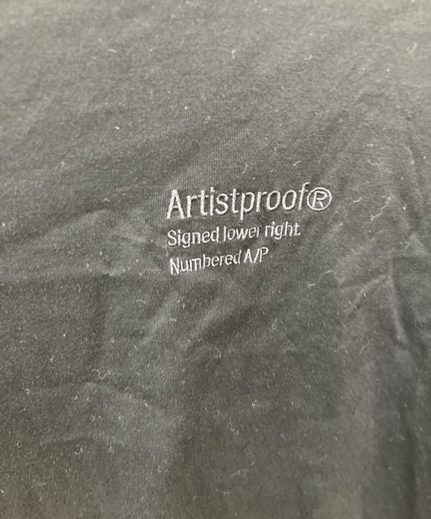 中古・古着通販】ARTIST PROOF (アーティトプルーフ) L/S T-Shirt 