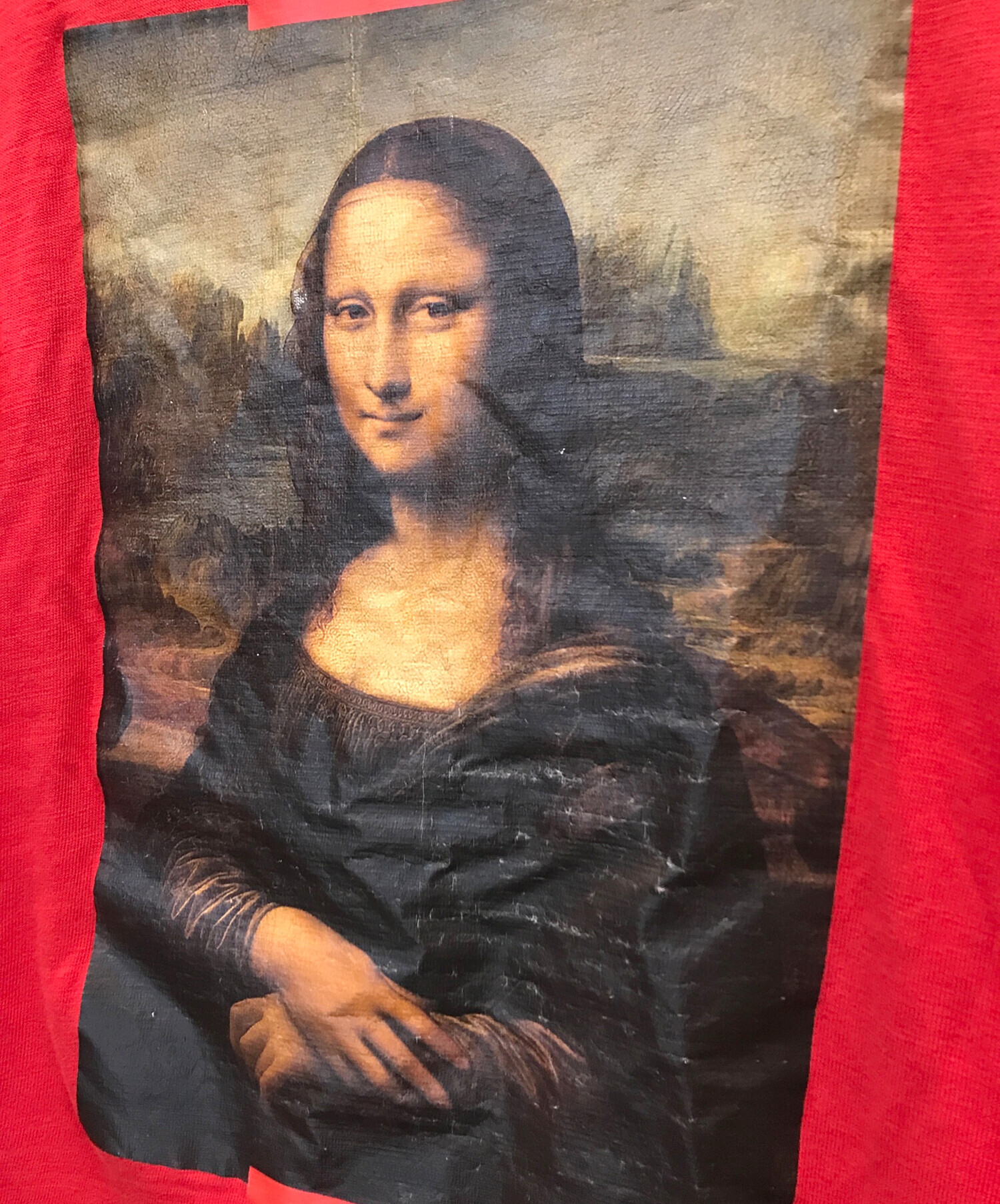 中古・古着通販】OFFWHITE (オフホワイト) DIAG MONALISA L/S TEE 