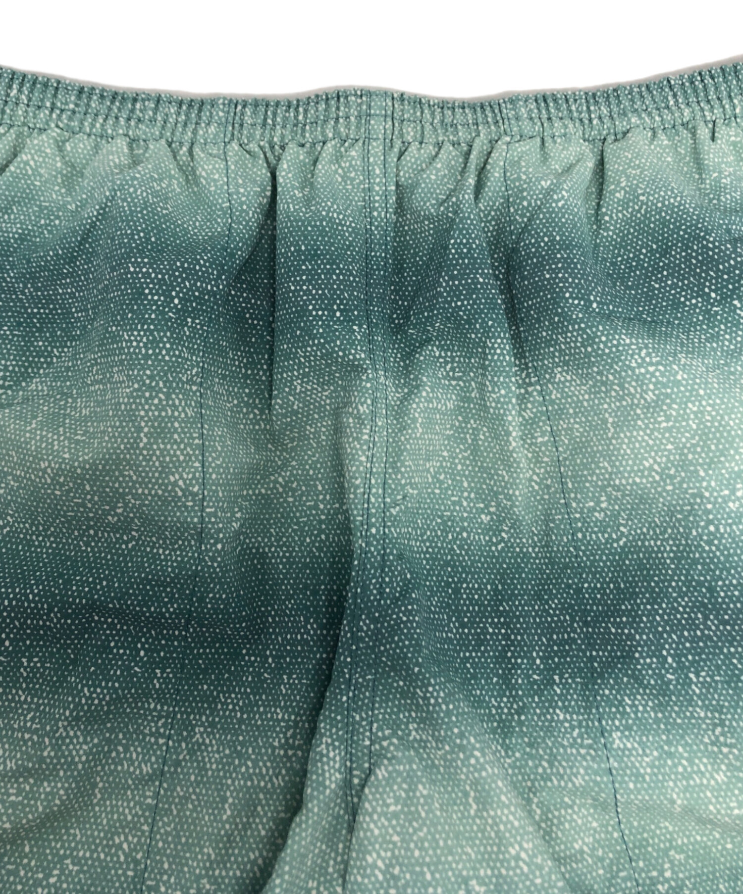 中古・古着通販】Patagonia (パタゴニア) バギーズロング7インチ