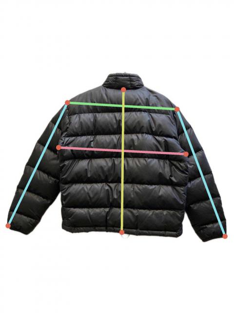 中古・古着通販】Patagonia (パタゴニア) インサレーショングース 