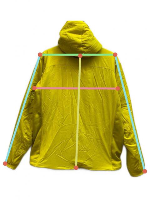 中古・古着通販】ARC'TERYX (アークテリクス) ATOM AR HOODY イエロー