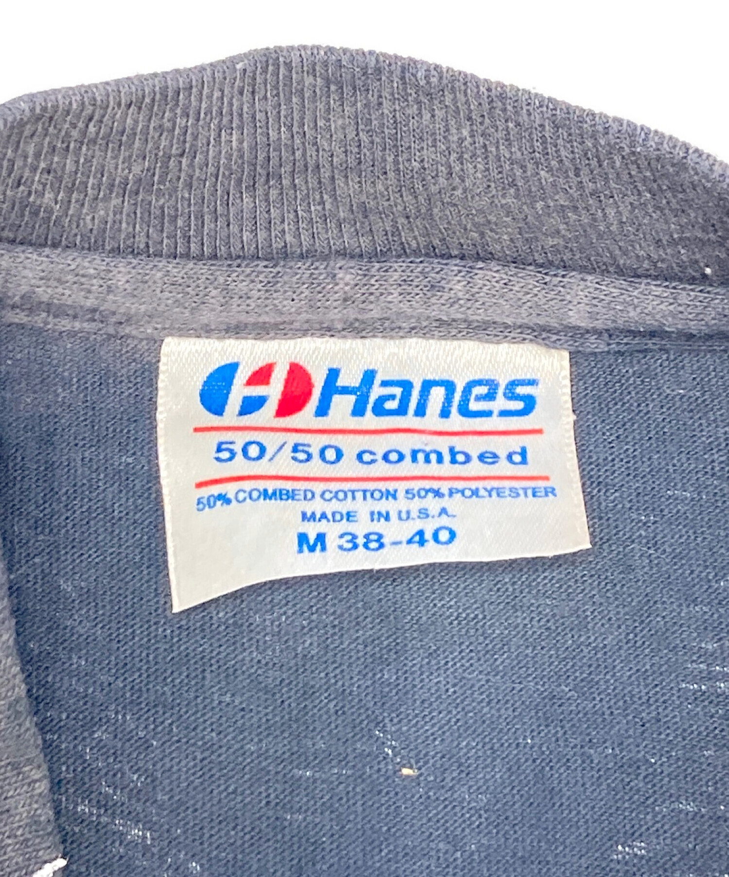 レスリーアーウィン　vintage 70s ヘインズ レスリーアーウィンvintage 70s ヘインズ