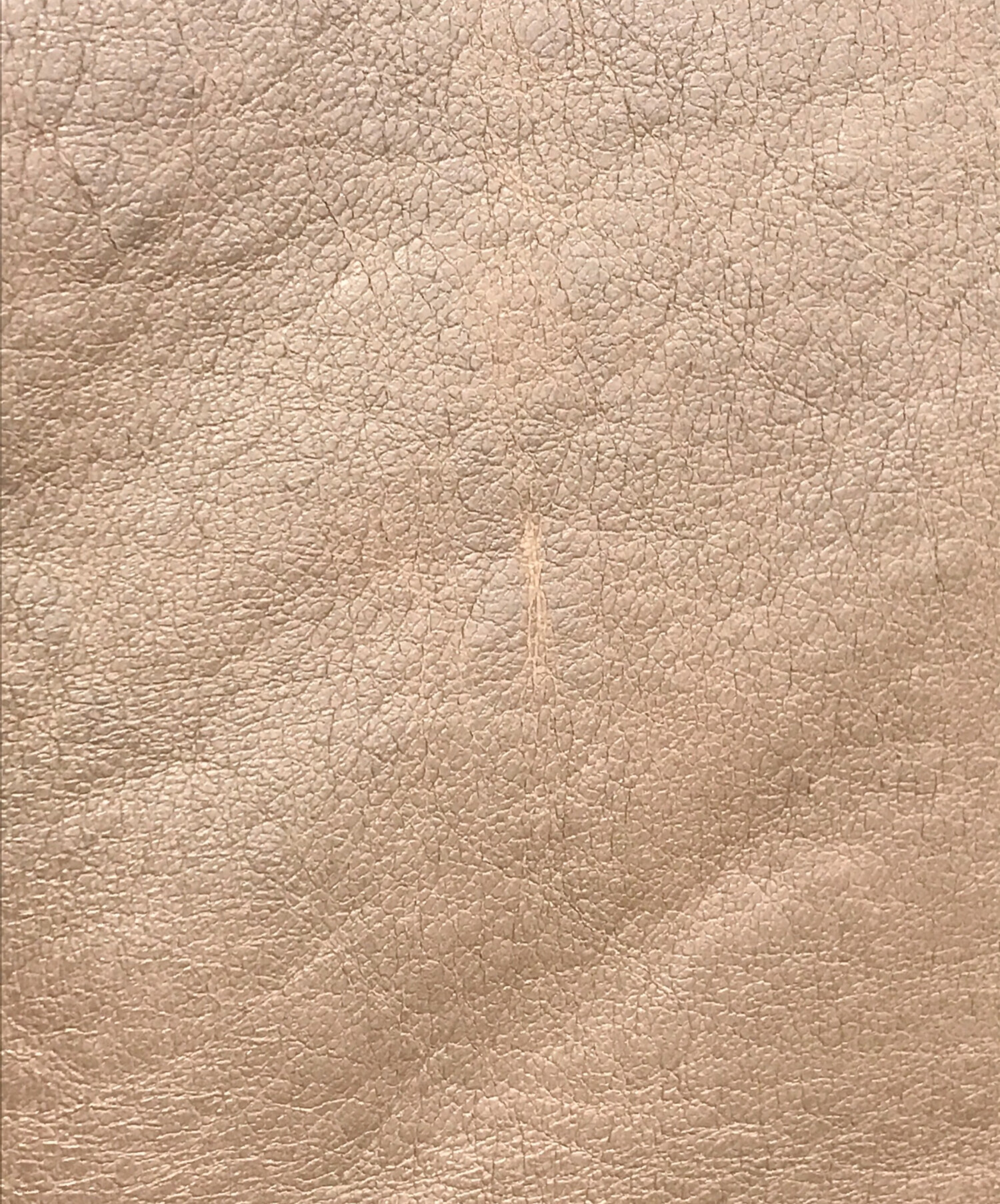 中古・古着通販】Needles (ニードルズ) Lined Boa Jacket ベージュ