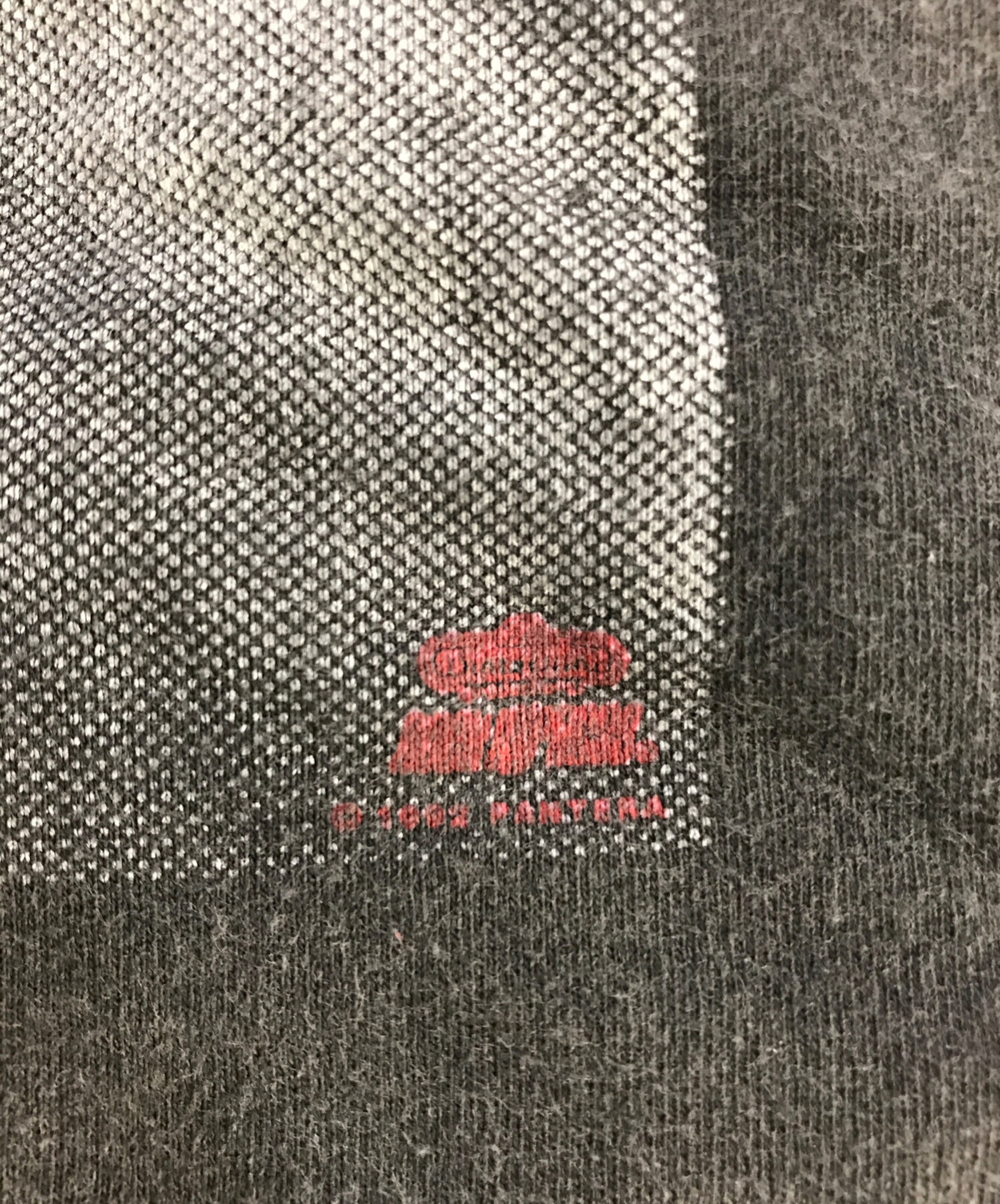 中古・古着通販】Hanes (ヘインズ) PANTERA(パンテラ) バンドTシャツ