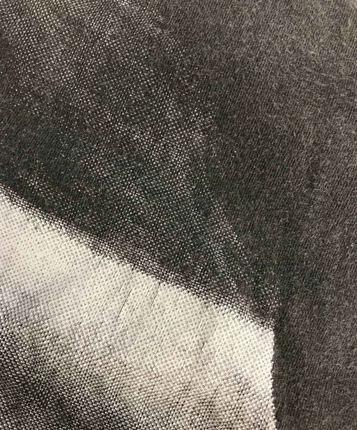中古・古着通販】Hanes (ヘインズ) PANTERA(パンテラ) バンドTシャツ