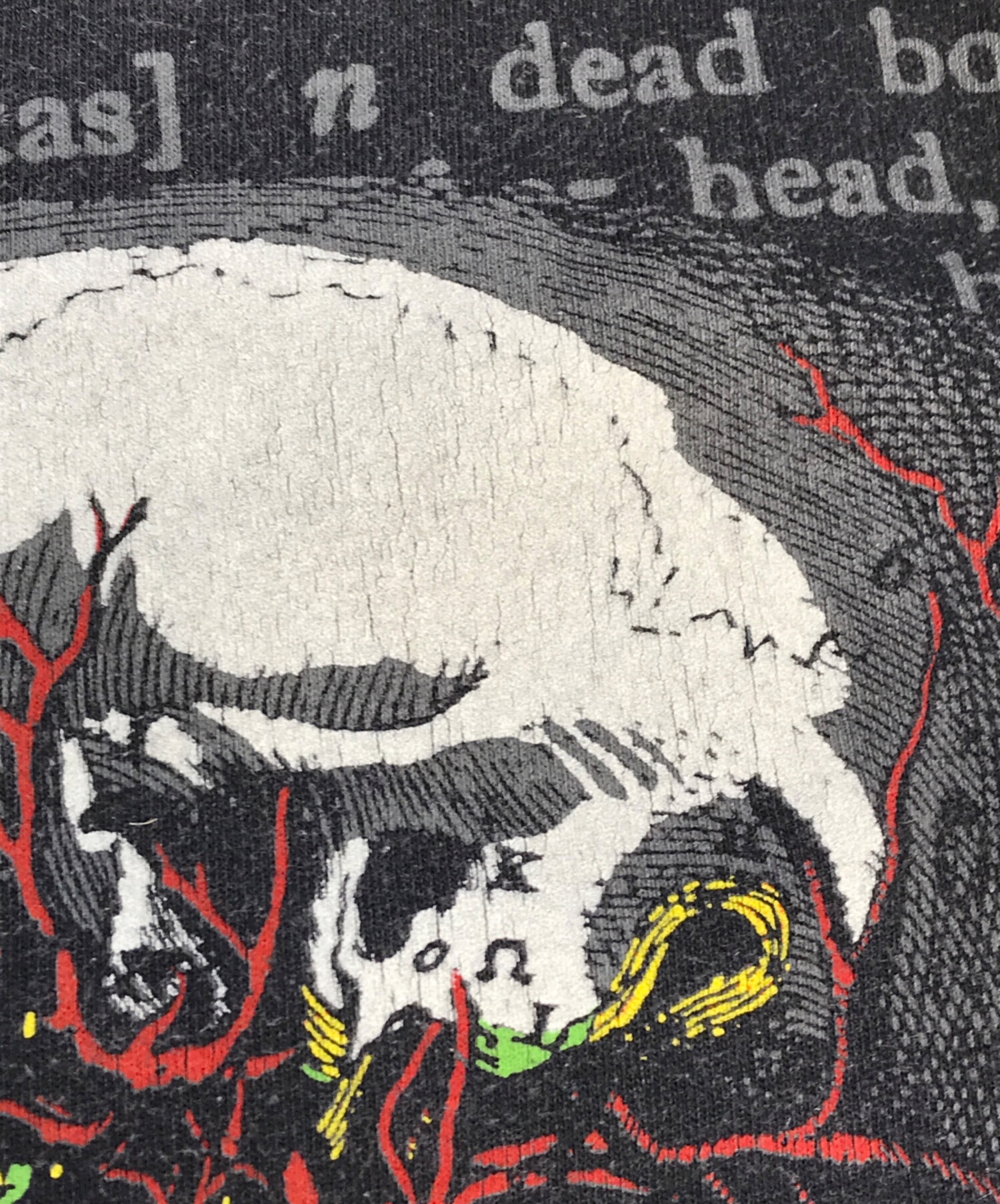 中古・古着通販】バンドTシャツ (バンドTシャツ) 90s CARCASS(カーカス