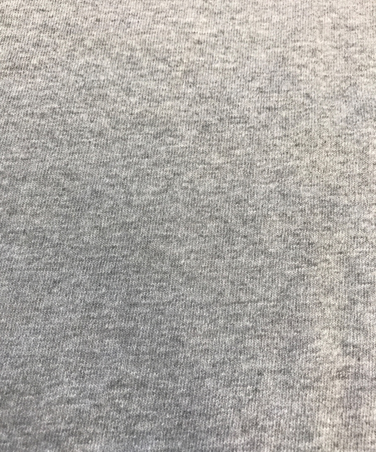 中古・古着通販】stussy (ステューシー) プリントTシャツ グレー