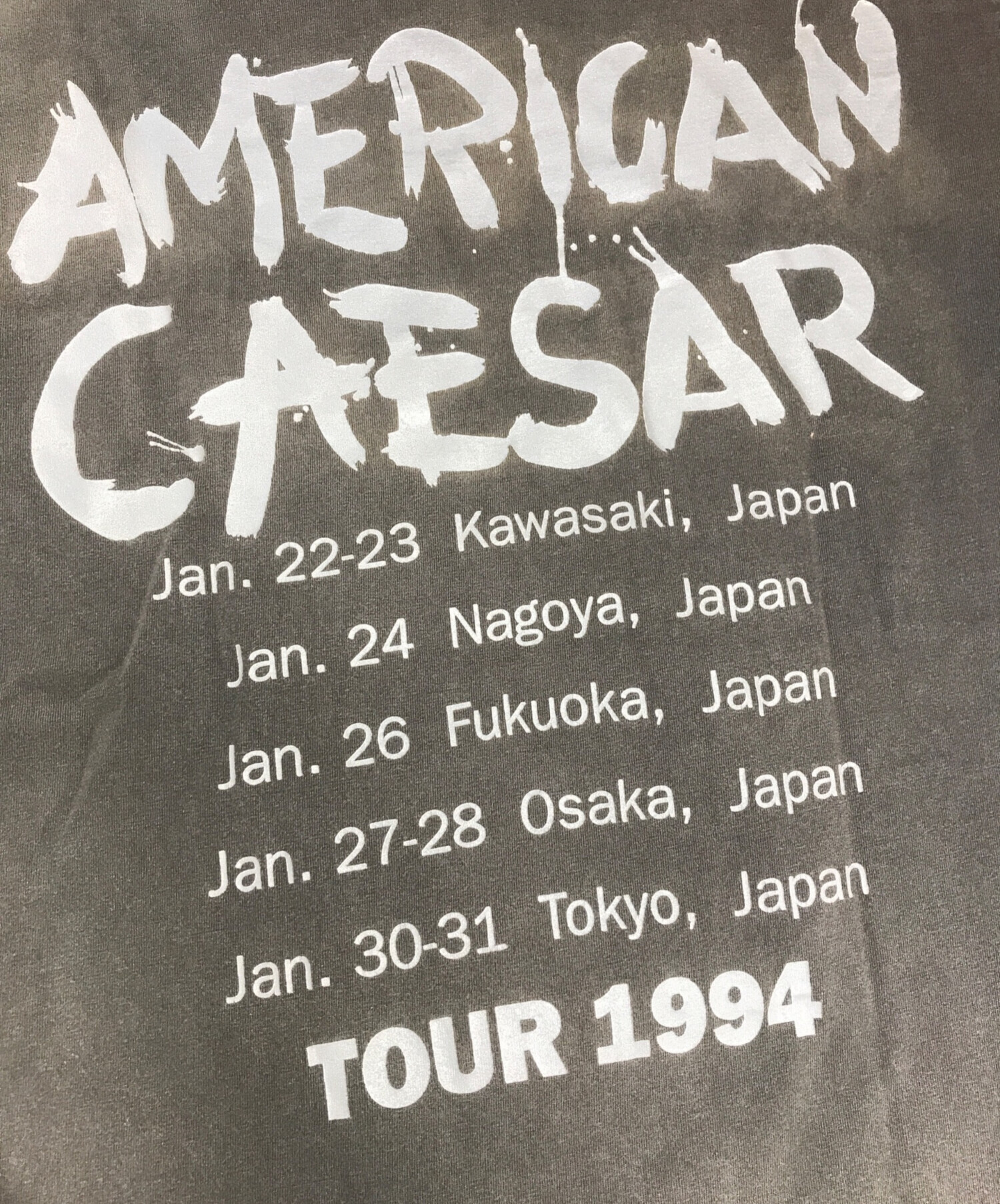 中古・古着通販】アーティストTシャツ (アーティストTシャツ) 90s Iggy