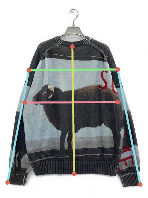 中古・古着通販】Supreme (シュプリーム) 25SS Damien Hirst Sweater