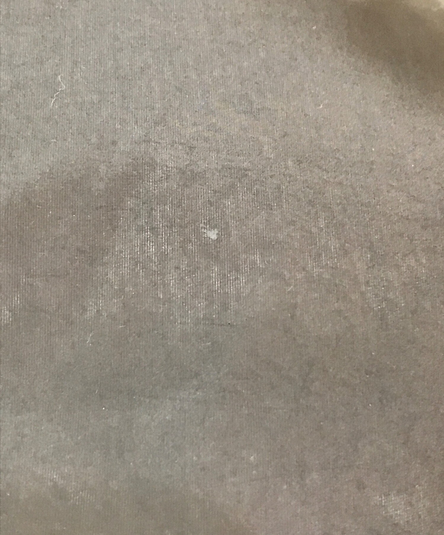 中古・古着通販】DEUXIEME CLASSE (ドゥーズィエム クラス) ダウン