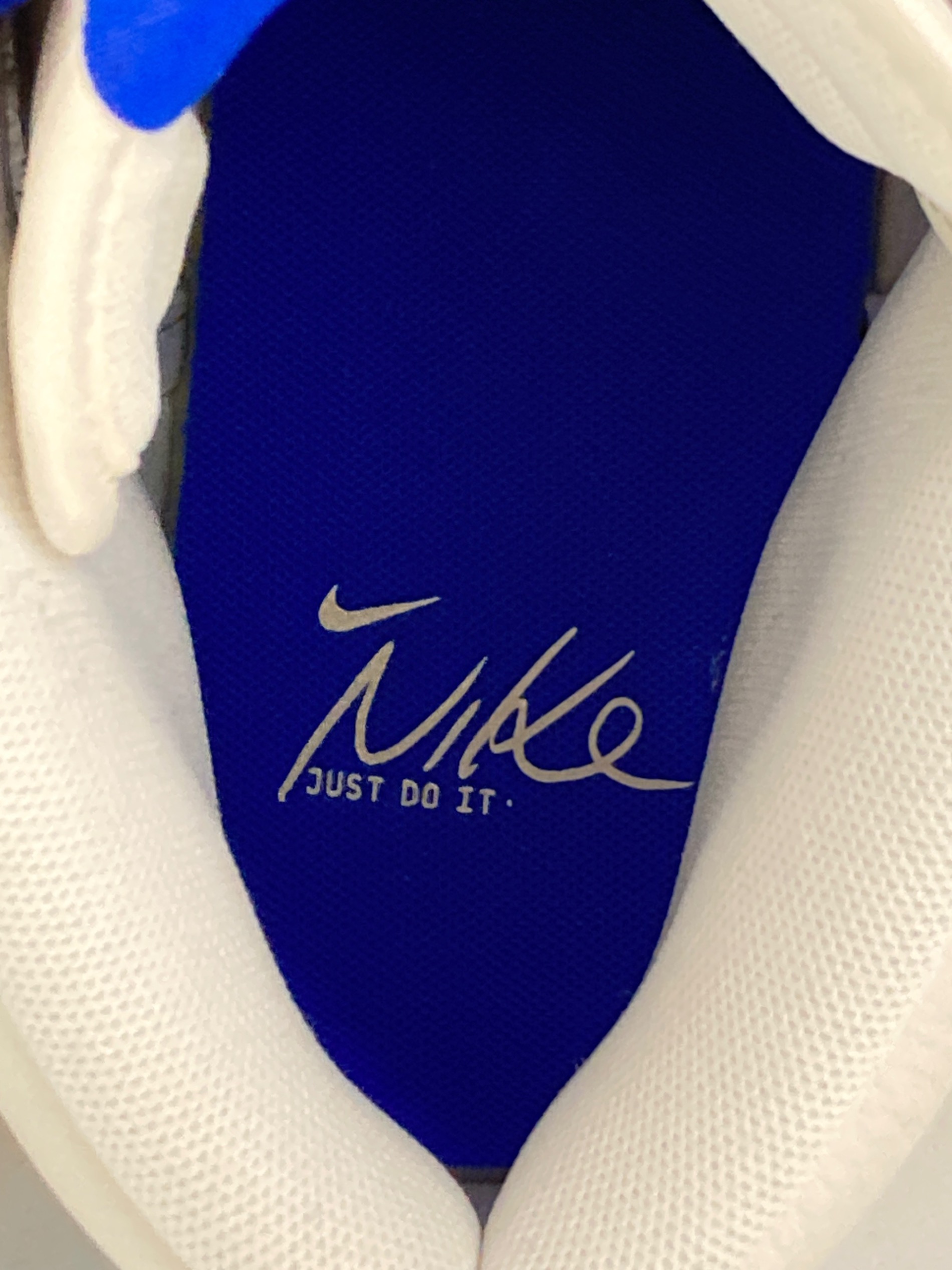 中古・古着通販】NIKE (ナイキ) DUNK HI RETRO SE FV6612-001 ブルー