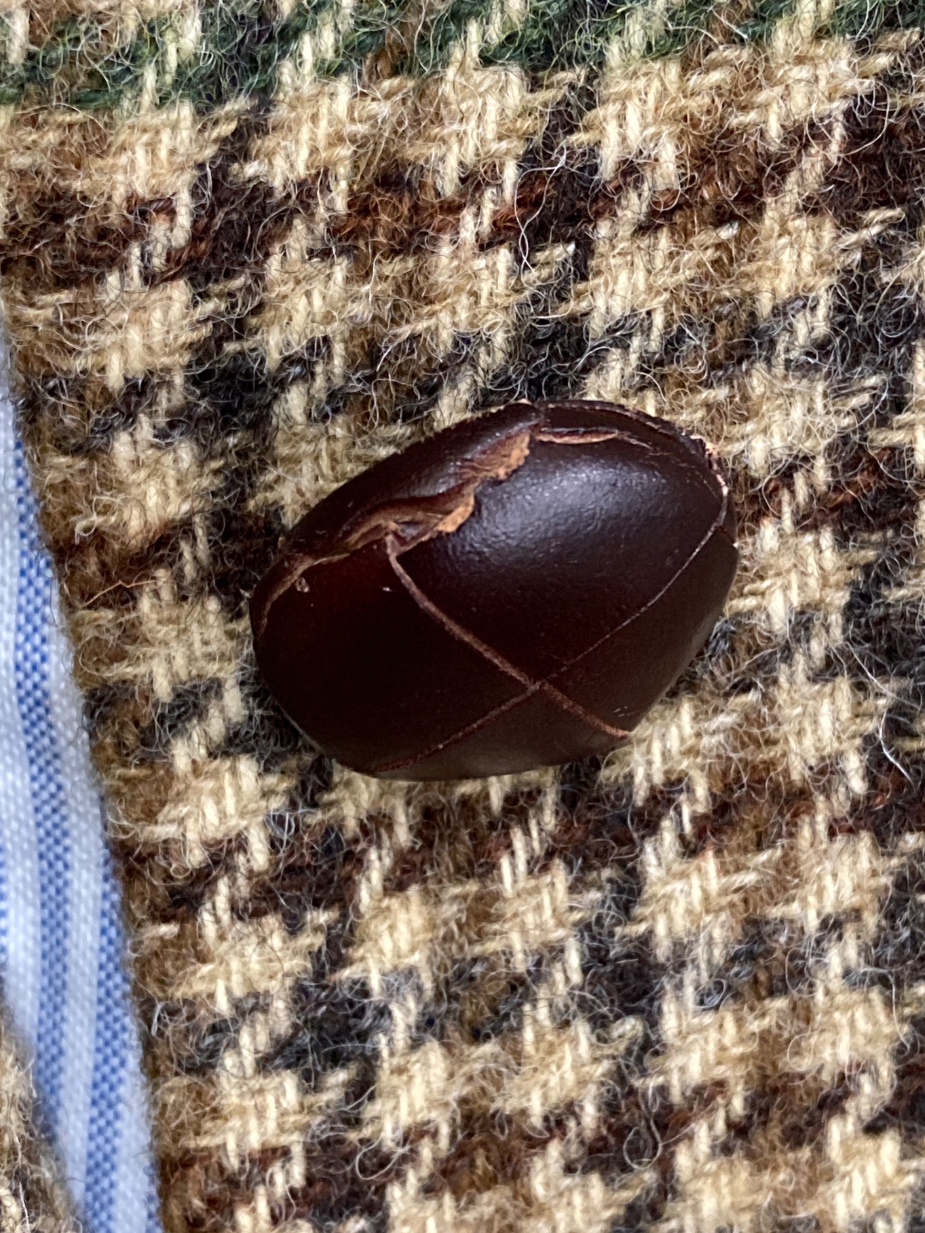 中古・古着通販】BROOKS BROTHERS (ブルックスブラザーズ) ウール