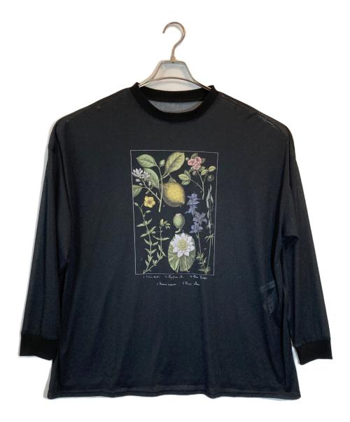 AMERI ブラック 長袖 トップス Sサイズ 中古・古着通販】AMERI (アメリ) BOTANICAL SHEER LONG TEE
