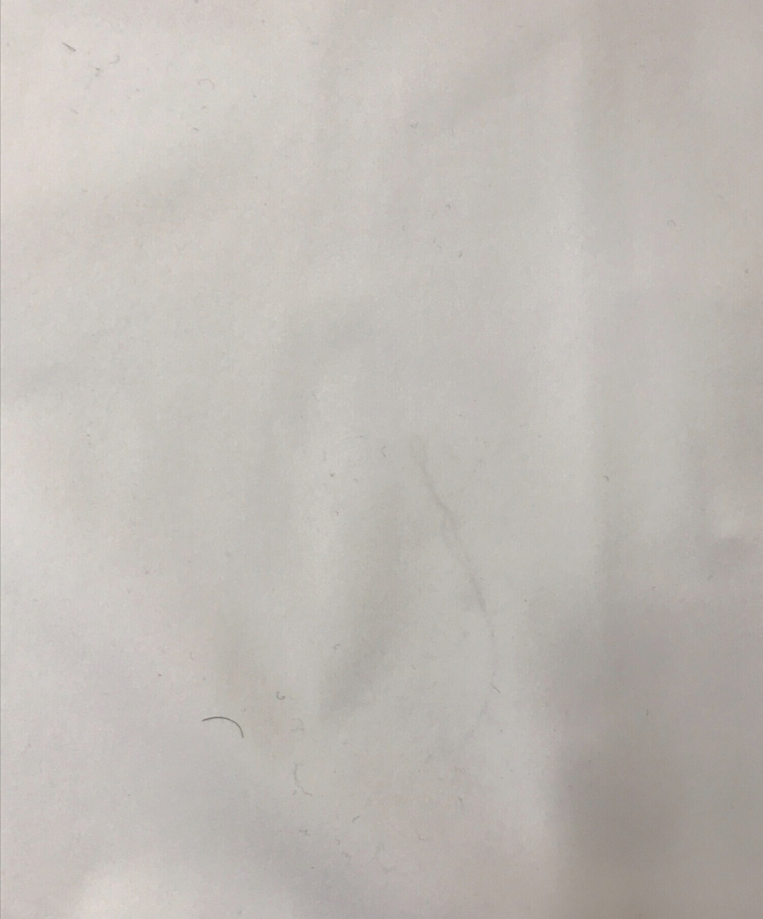 cccmalie シーマリー　バルーンスリーブ　長袖ブラウス スカーフループ シーマリー バルーンスリーブ 長袖 ブラウス white