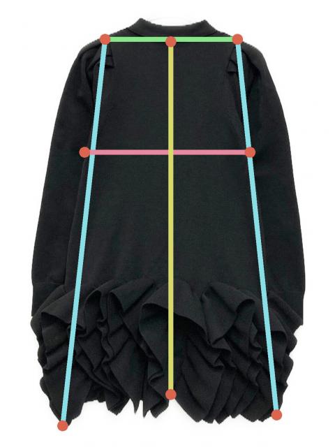 中古・古着通販】HIAND (ハイアンド) Ruffled-Hem Polo Dress ブラック