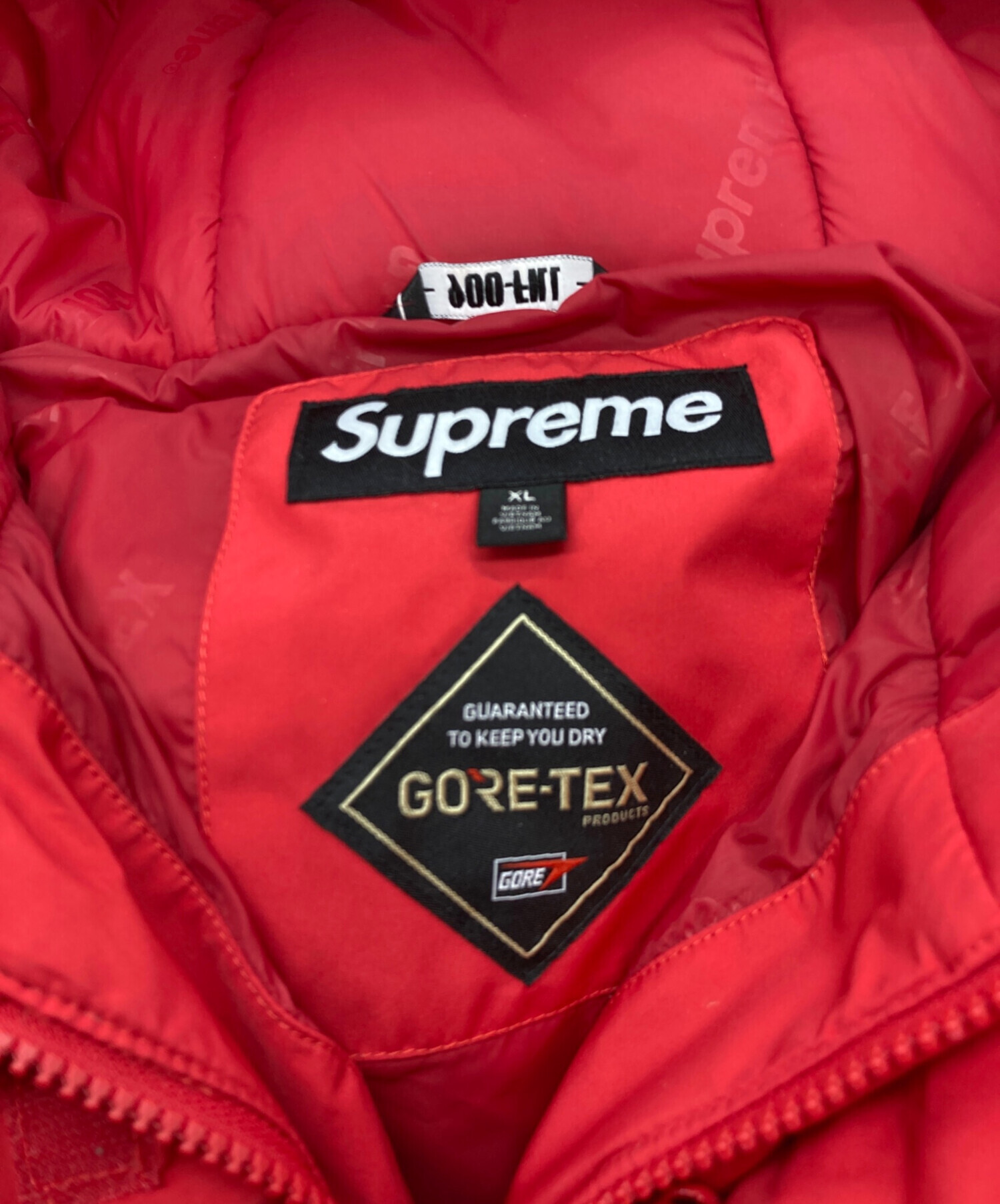中古・古着通販】Supreme (シュプリーム) GORE-TEX 900-Fill Down