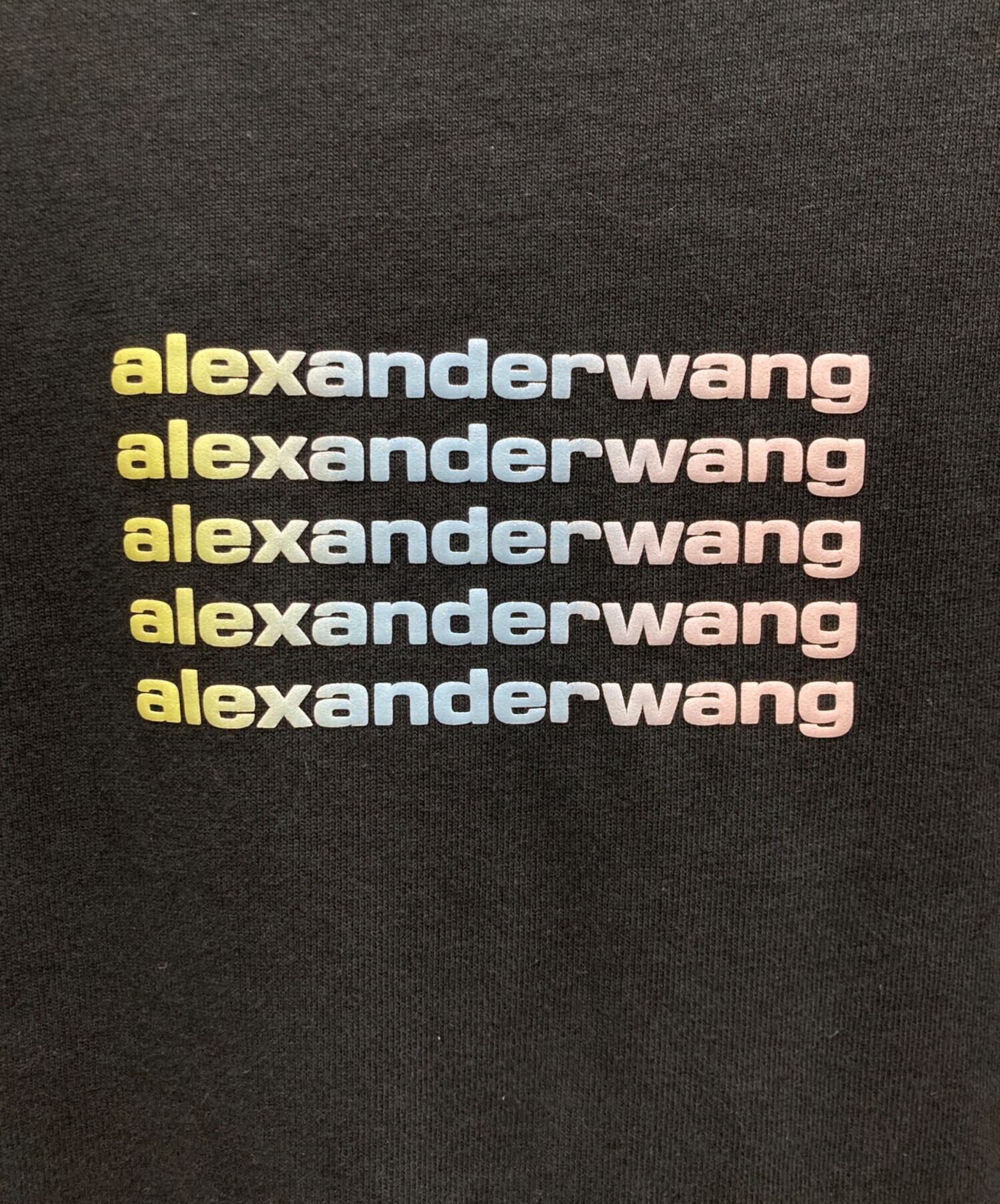 中古・古着通販】ALEXANDER WANG (アレキサンダー・ワン) ハイネック 