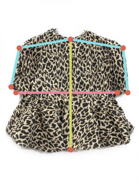 中古・古着通販】Bibiy. (ビビィ) VERO PEPURAMU LEOPARD TOP ブラック