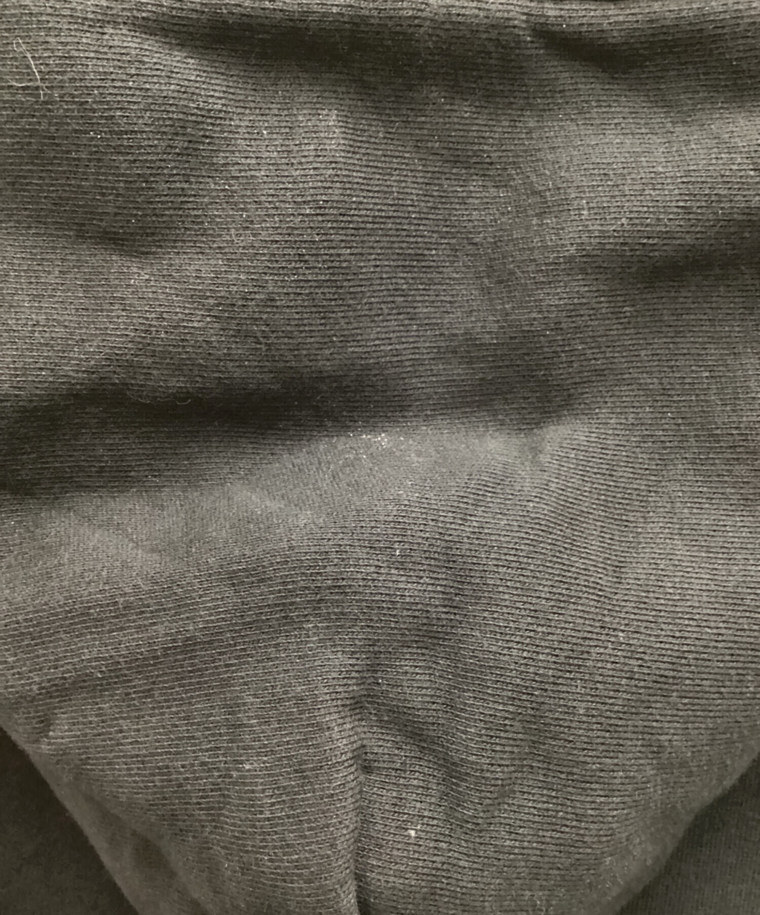 中古・古着通販】HERON PRESTON (ヘロンプレストン) 19AW Hoodir プル