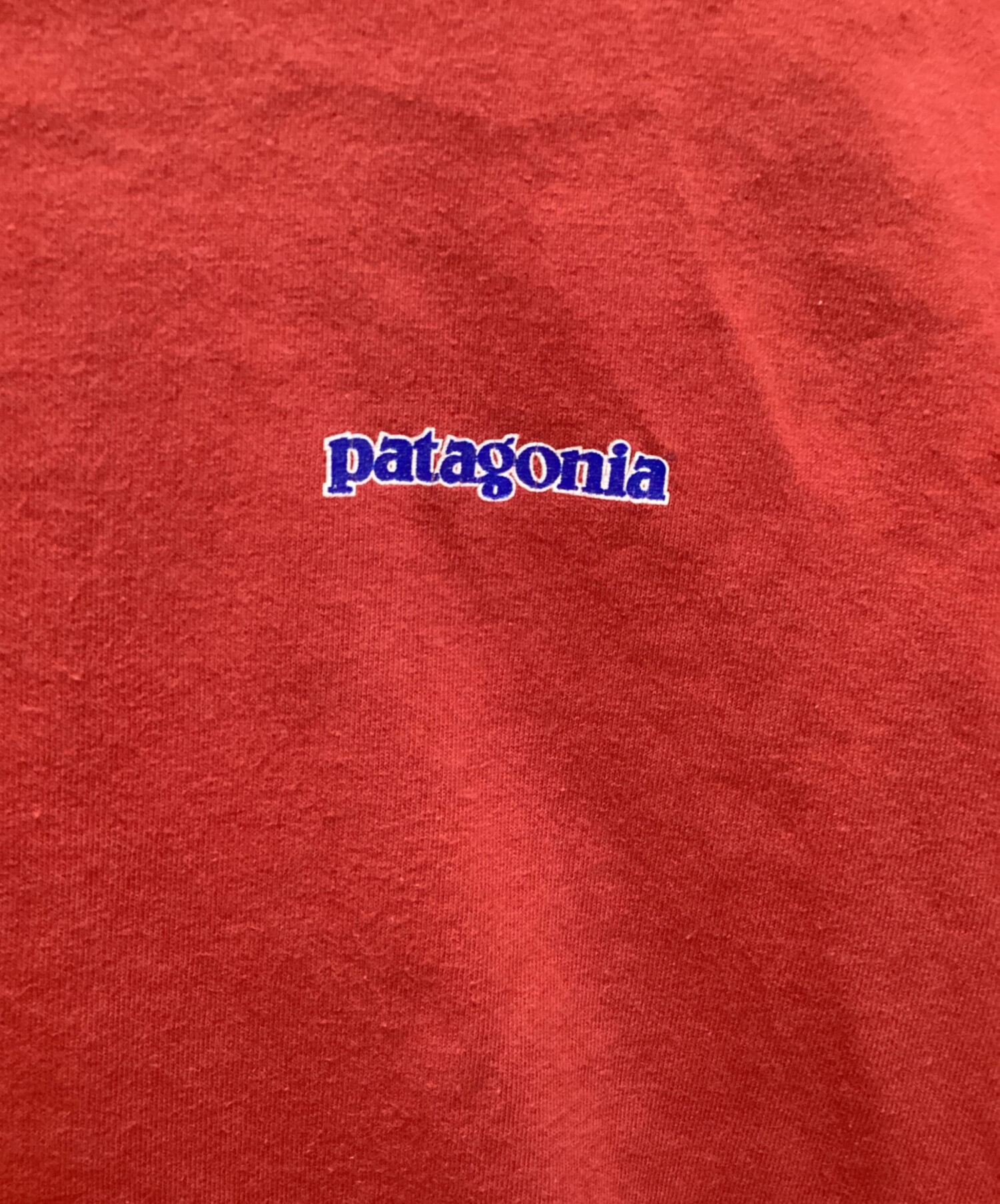 中古・古着通販】Patagonia (パタゴニア) ヴィンテージバックロゴT