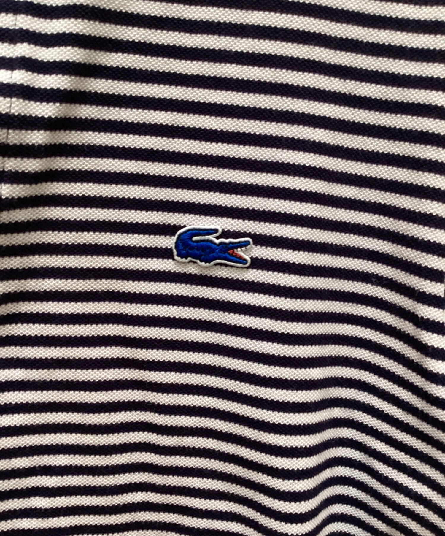 中古・古着通販】CHEMISE LACOSTE (シュミーズ ラコステ) EDIFICE